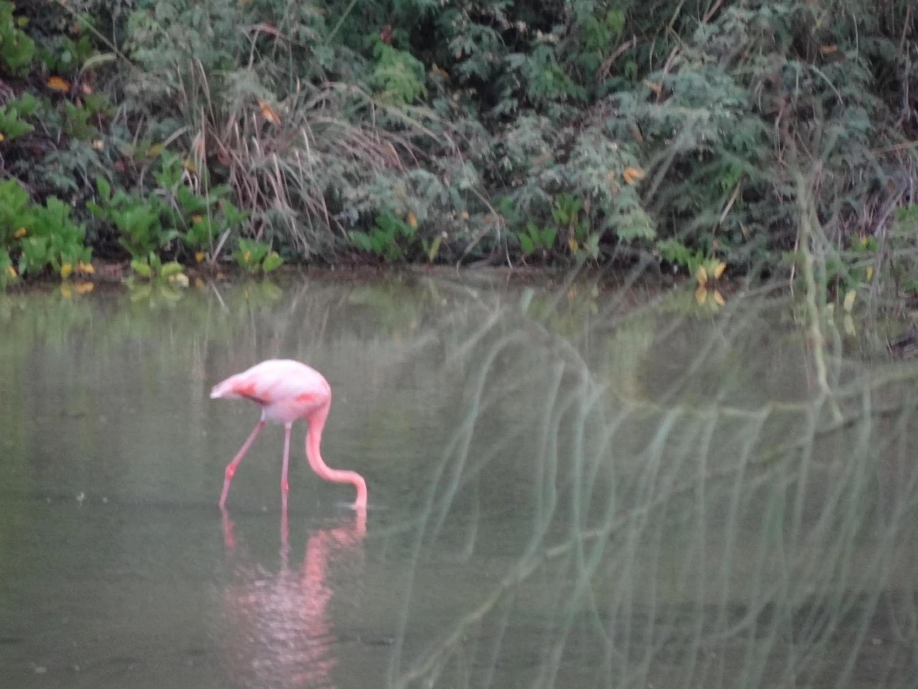 Hiking in Paraiso de Isabela