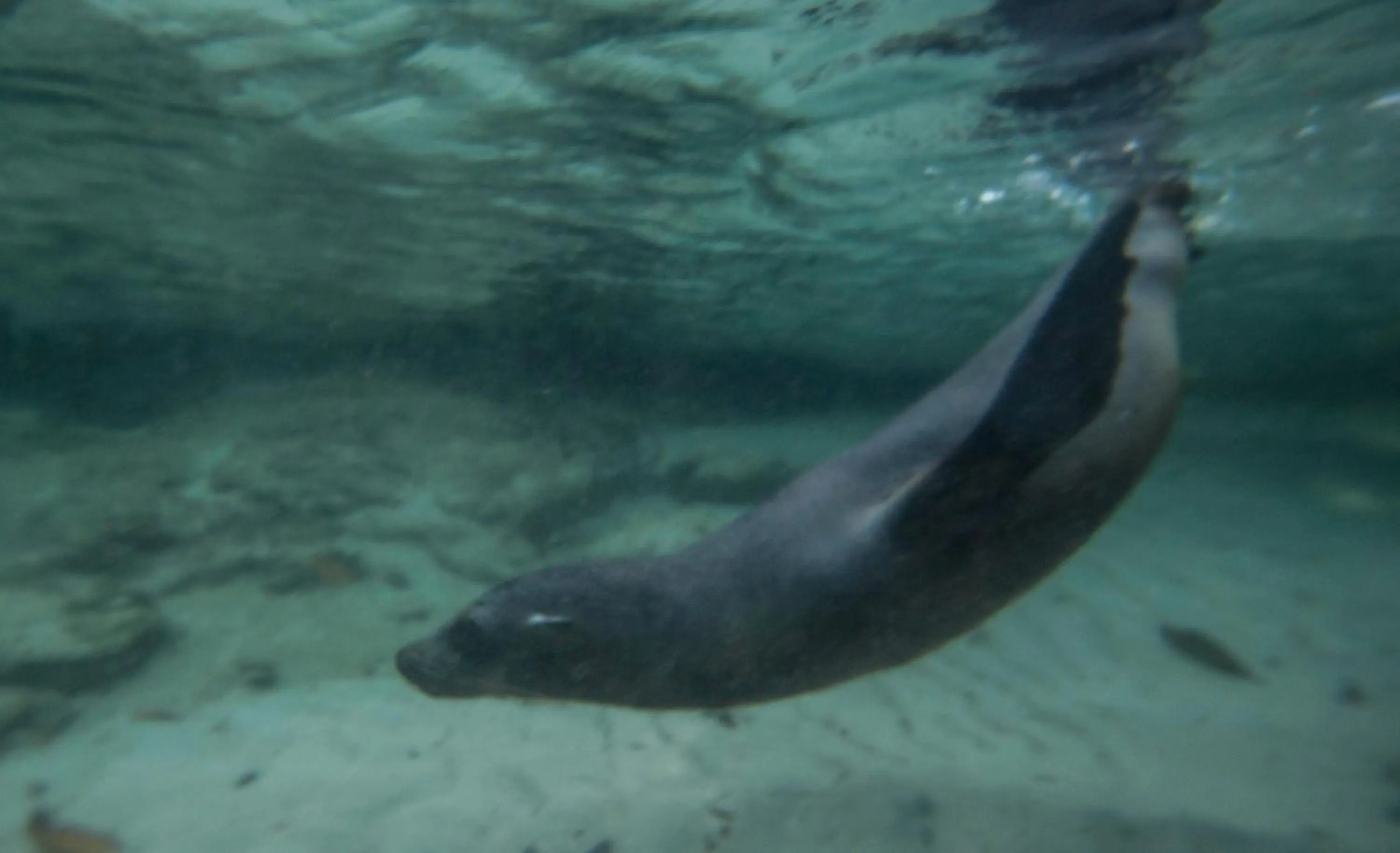 Nearby landmark in Paraiso de Isabela