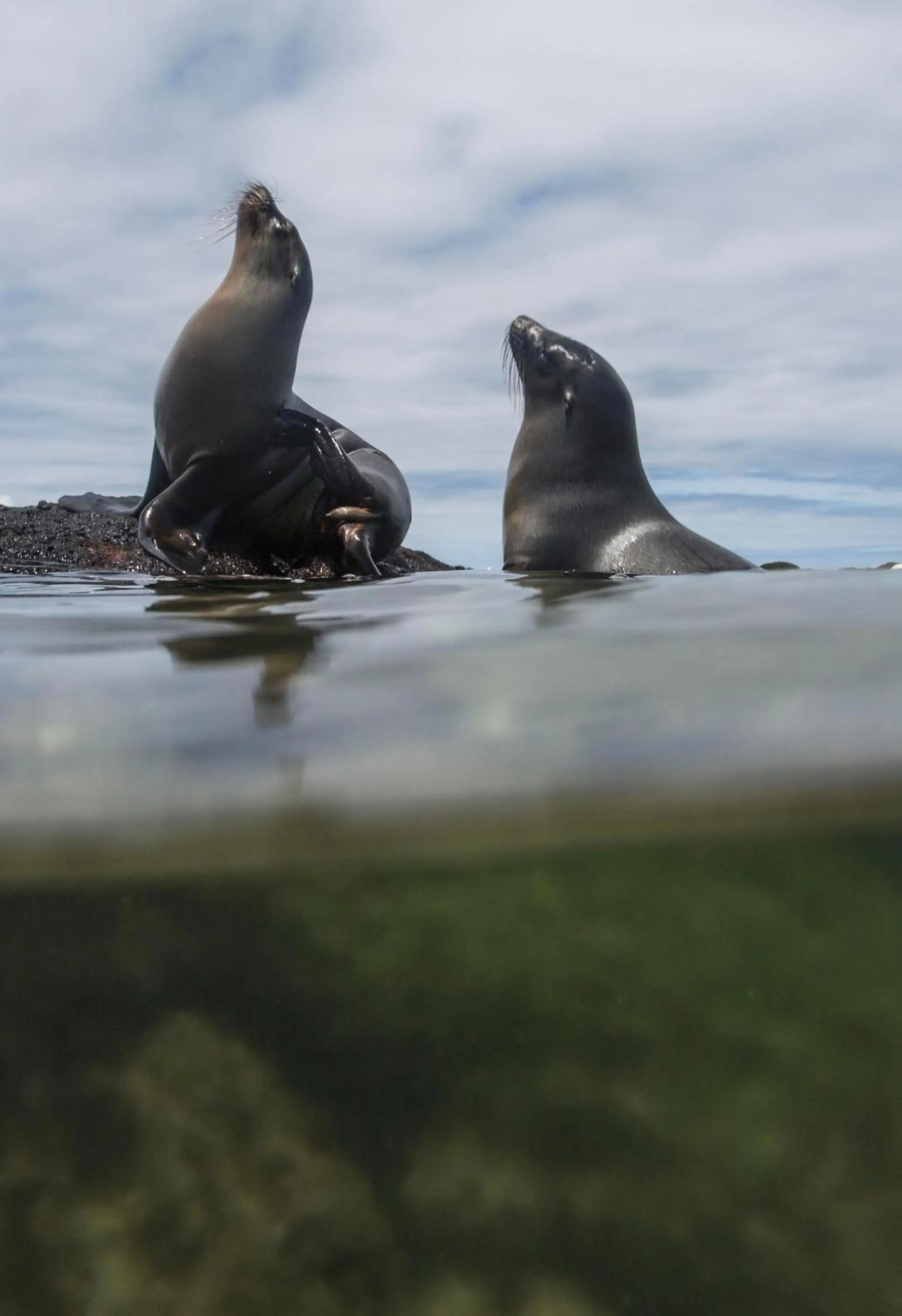 Activities in Paraiso de Isabela