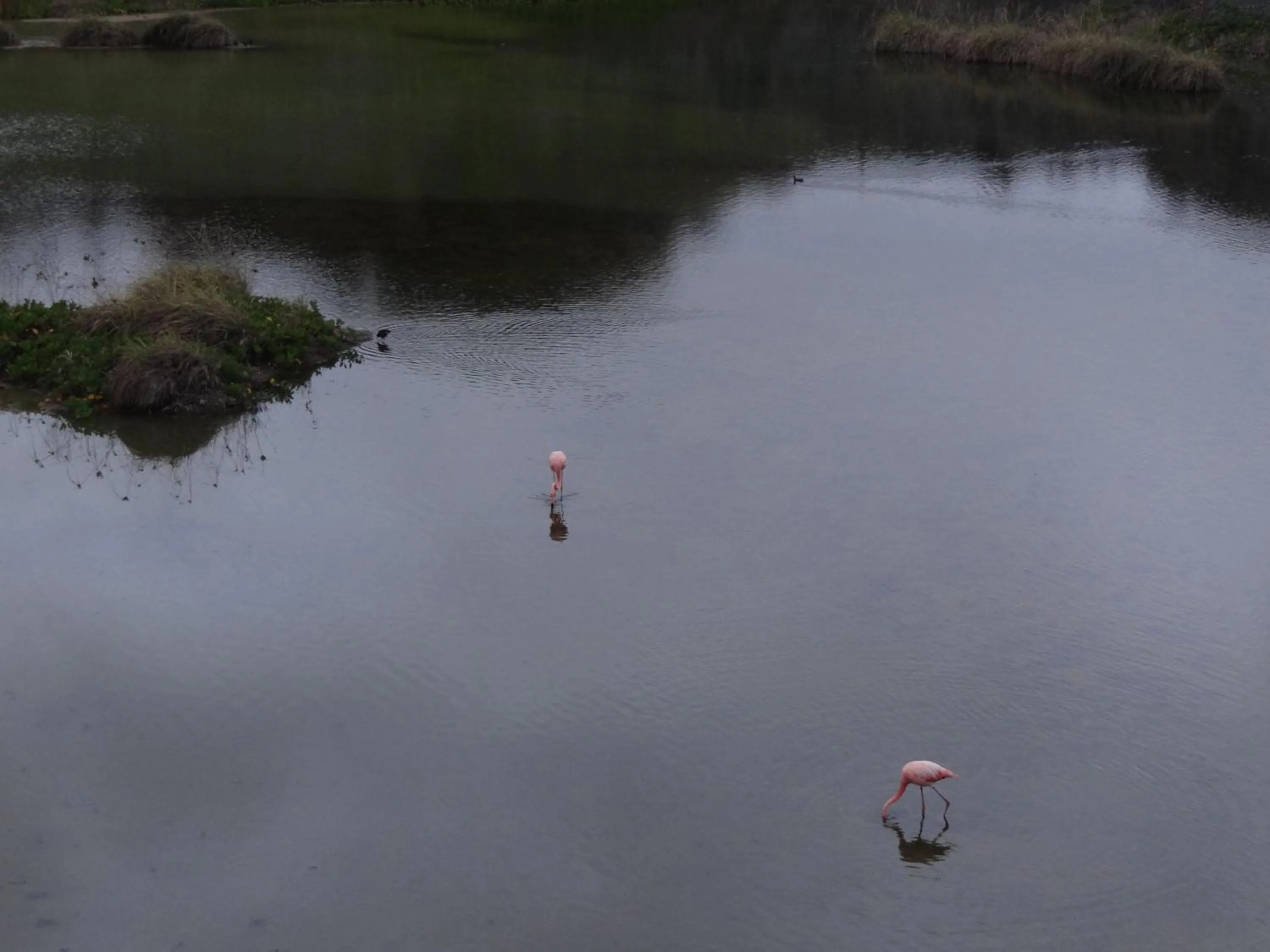 Cycling in Paraiso de Isabela