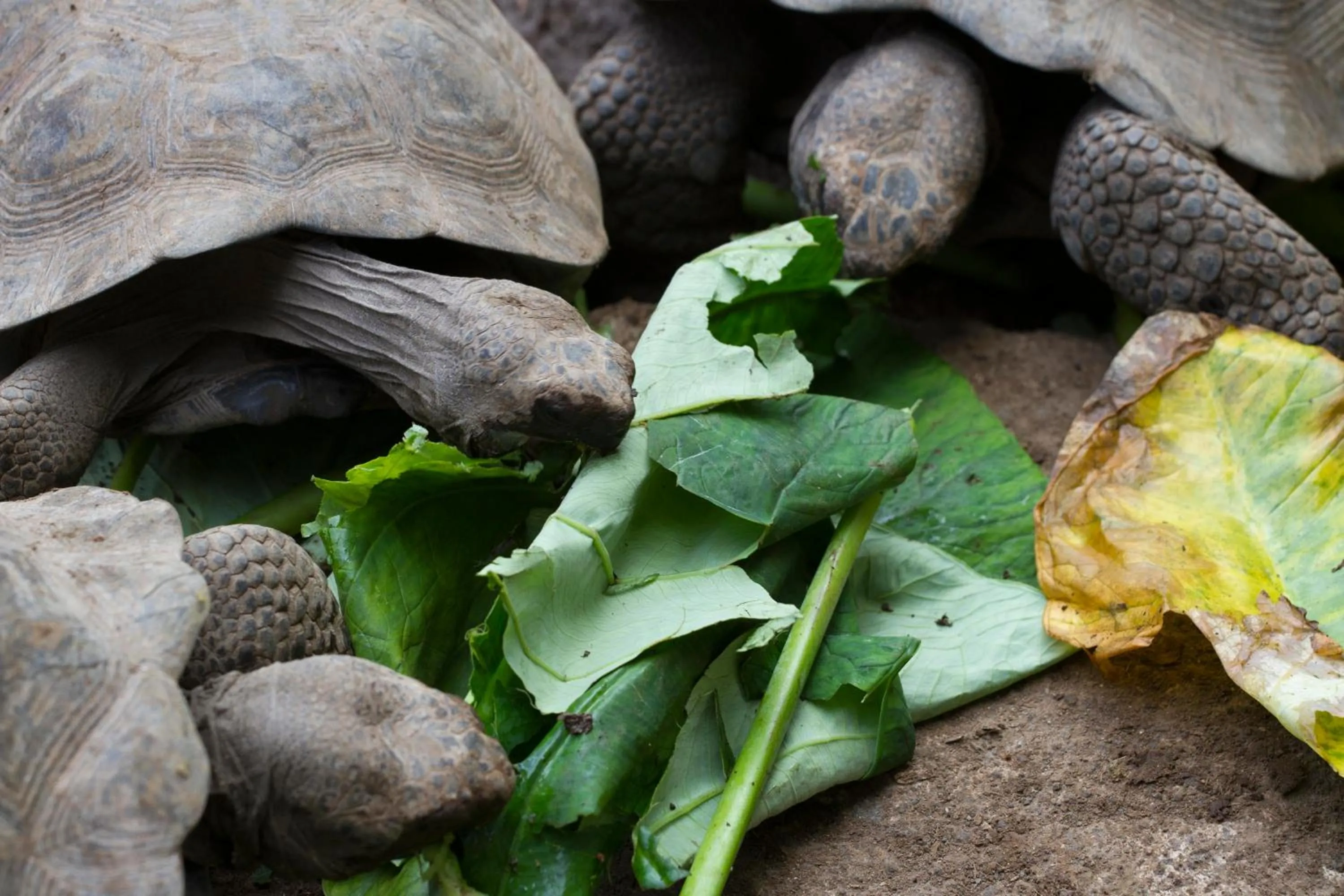 Activities in Paraiso de Isabela