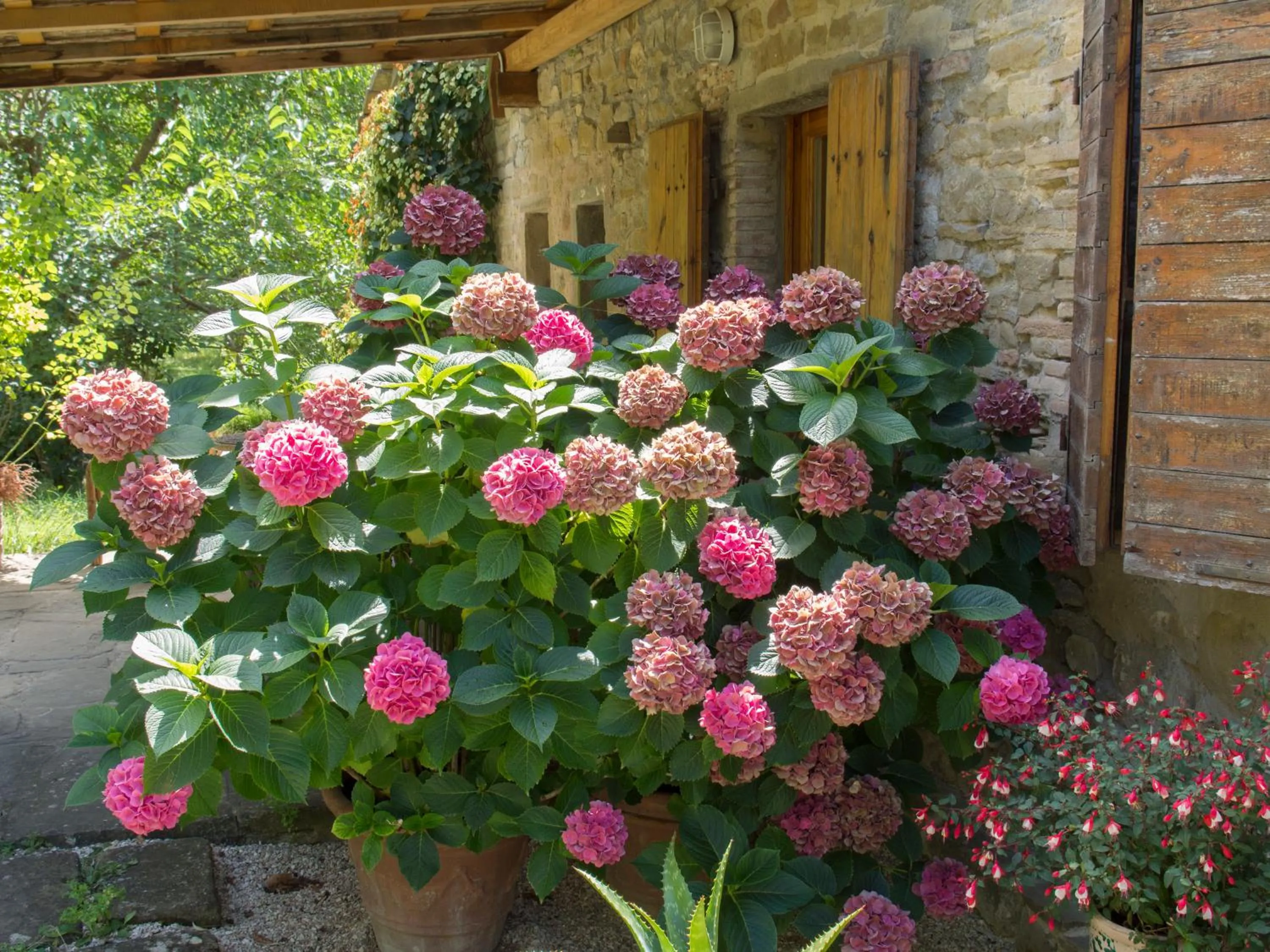 Garden in Casa La Valle, Gubbio, Frazione Santa Cristina