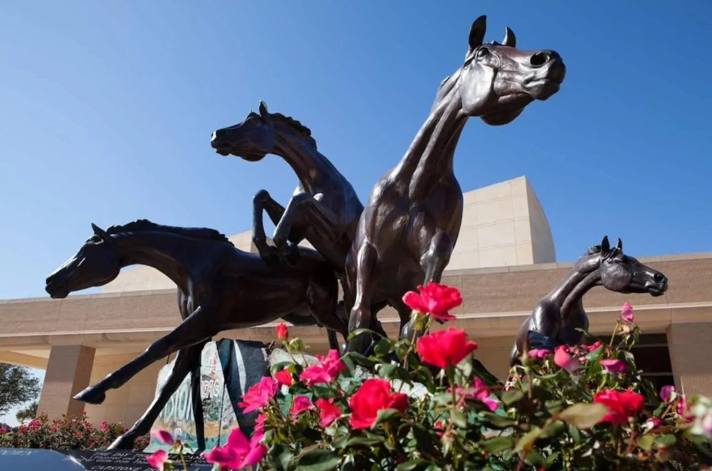 Full Kitchen, Beautiful & Brilliant Apt B
