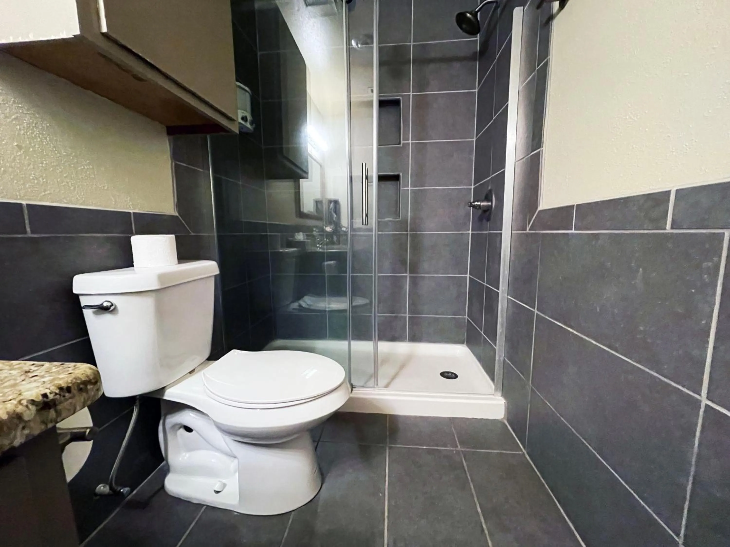 Full Kitchen, Beautiful & Brilliant Apt B