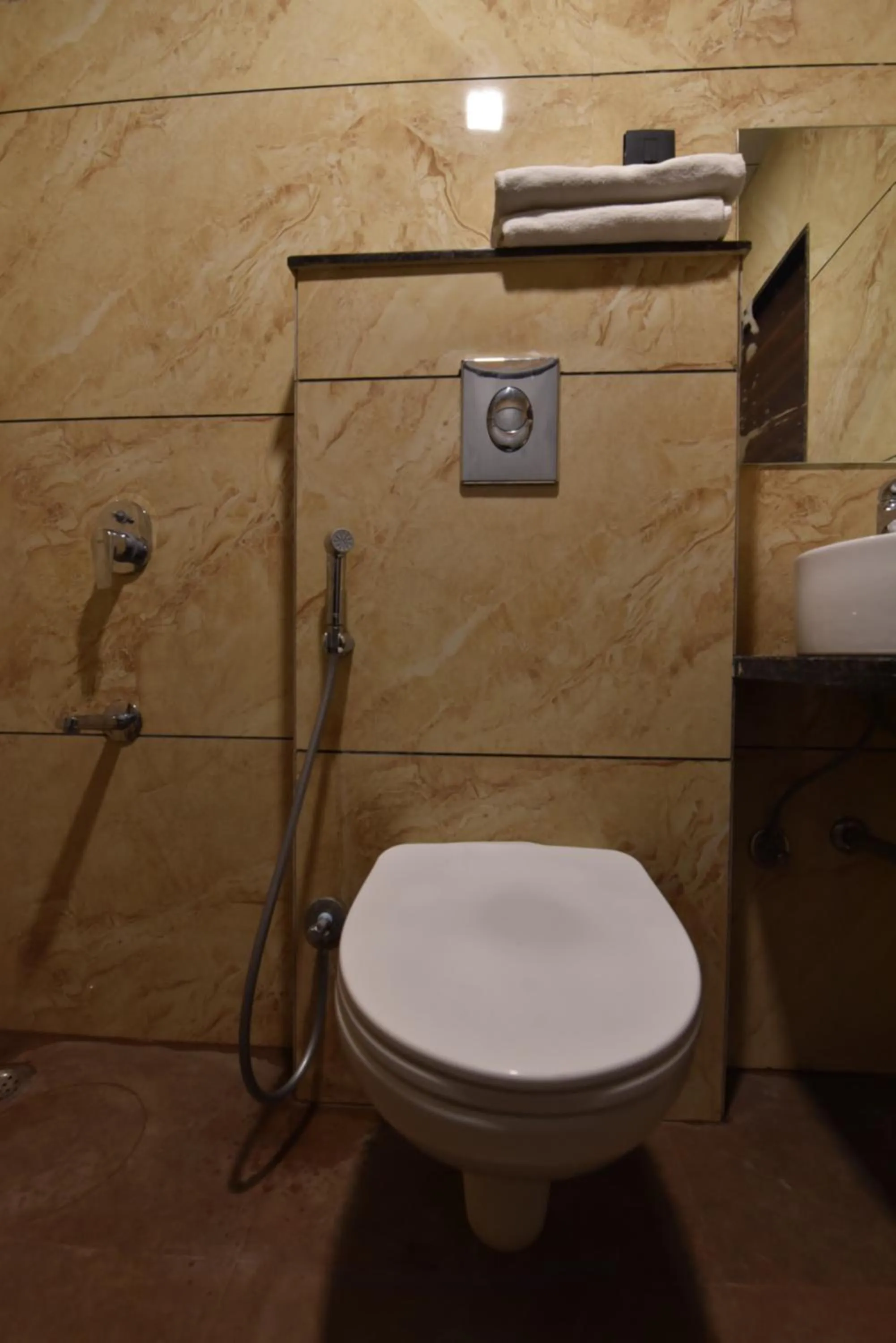 Shower in Hotel Dosa plaza