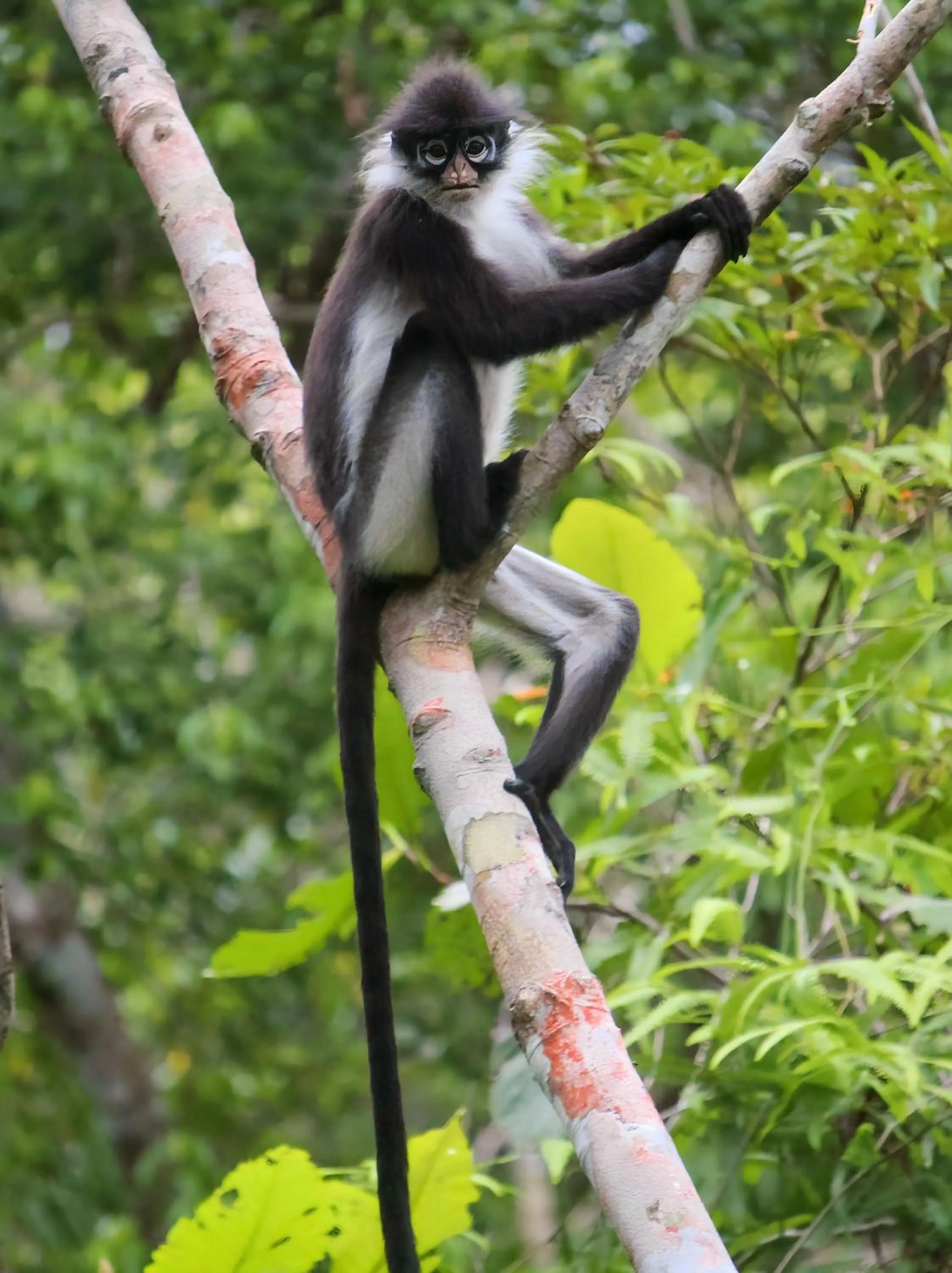 Nearby landmark in Natuna Dive Resort