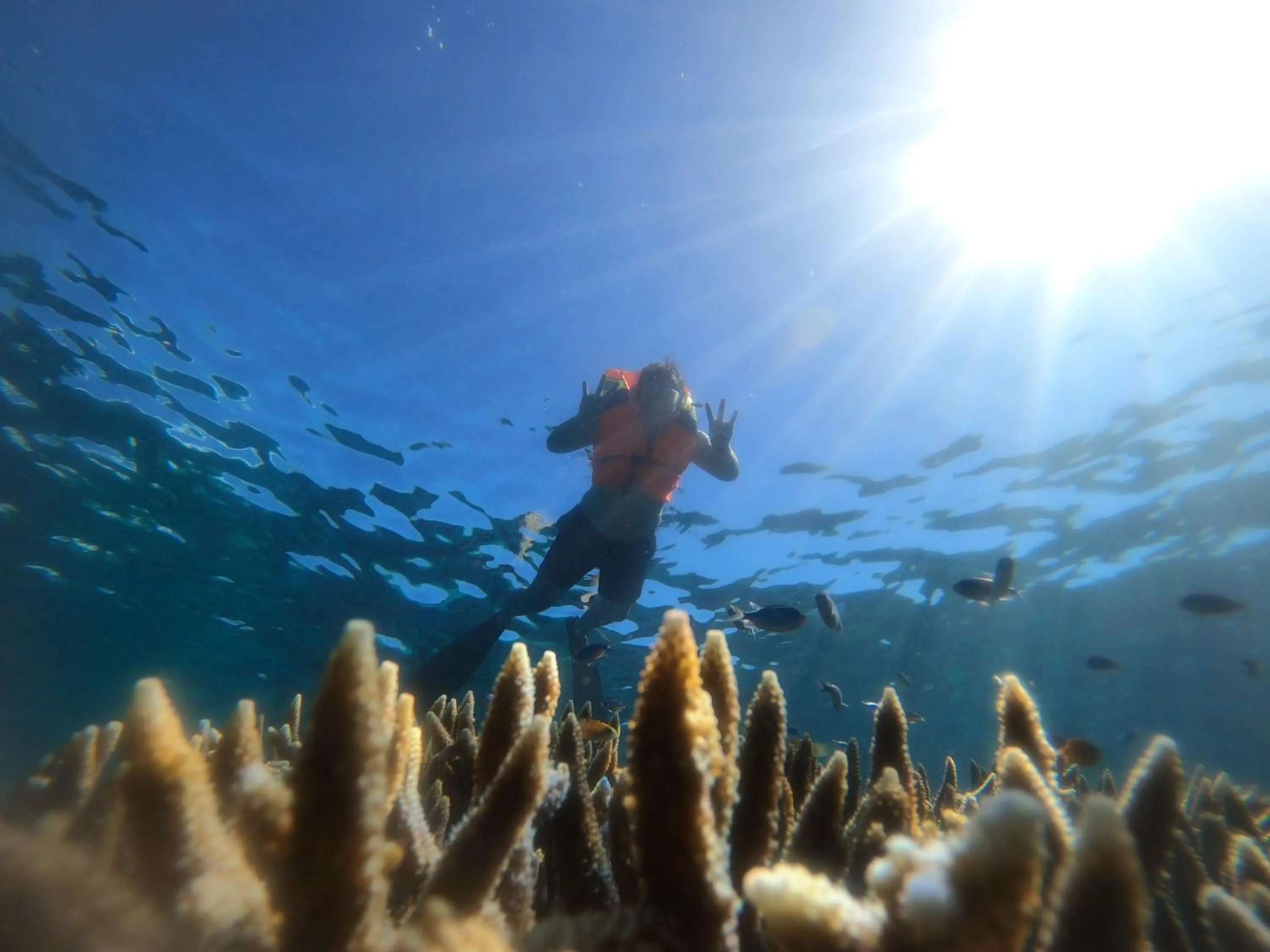 People in Natuna Dive Resort