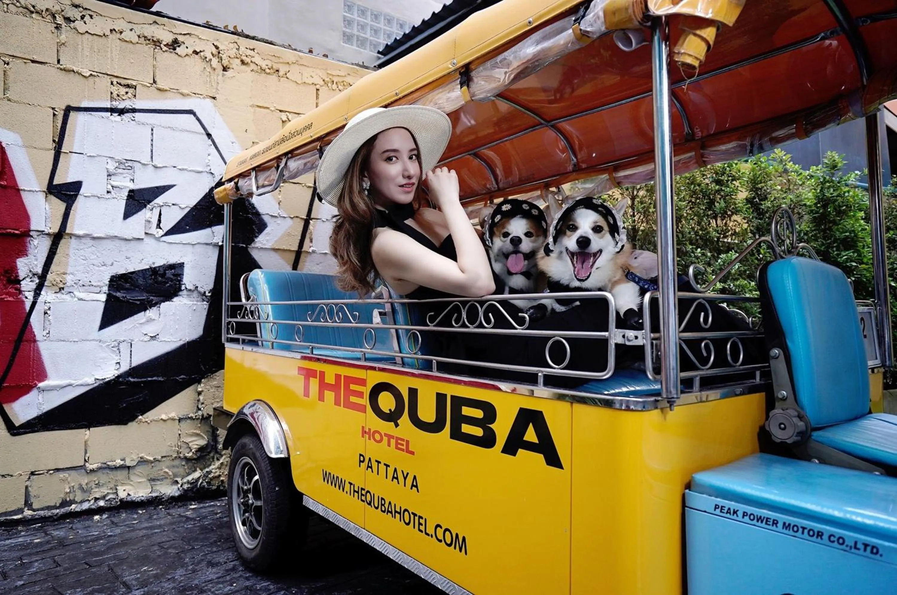 Pets in The Quba Boutique Hotel Pattaya