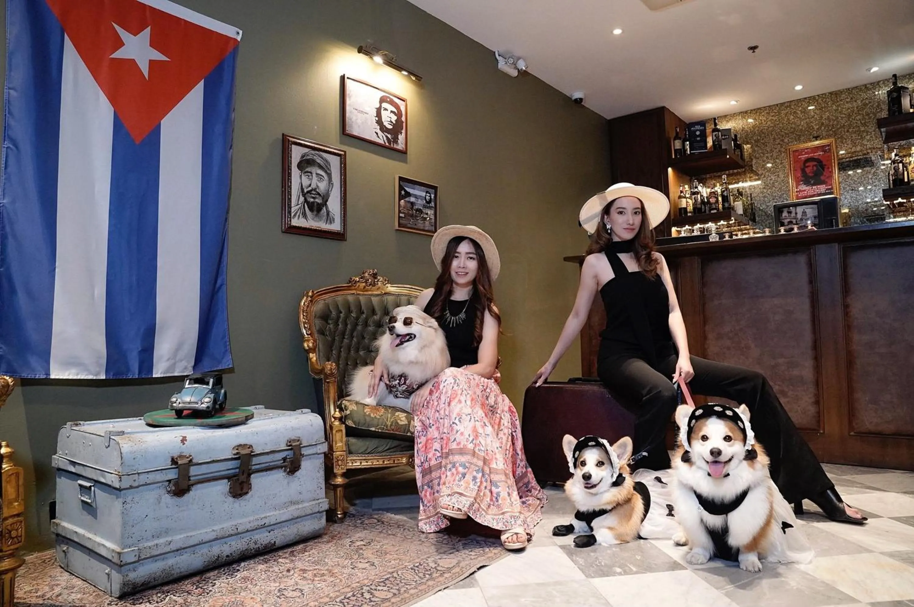Pets in The Quba Boutique Hotel Pattaya