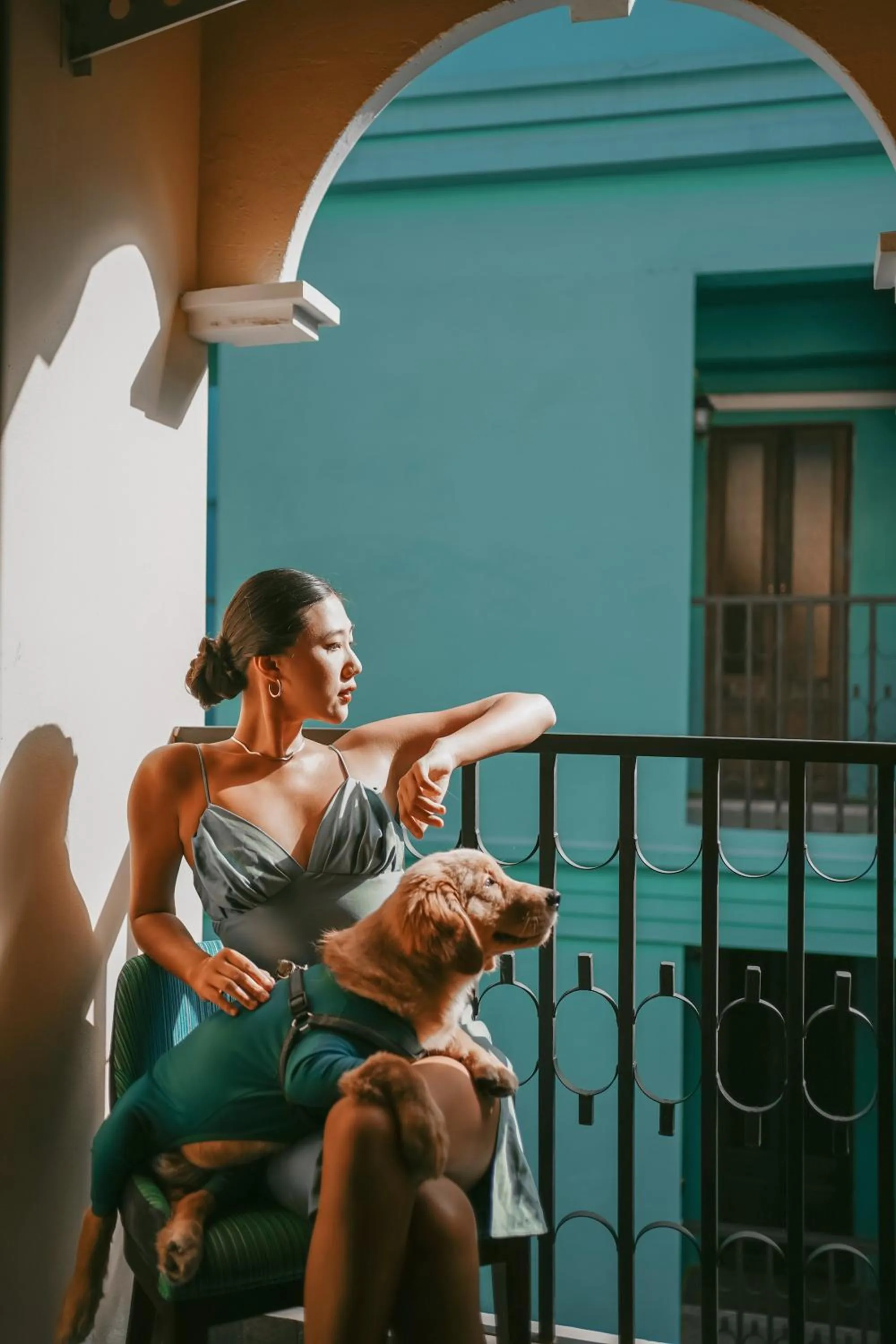 Pets in The Quba Boutique Hotel Pattaya