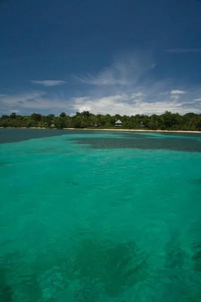 Beach in Al Natural Resort
