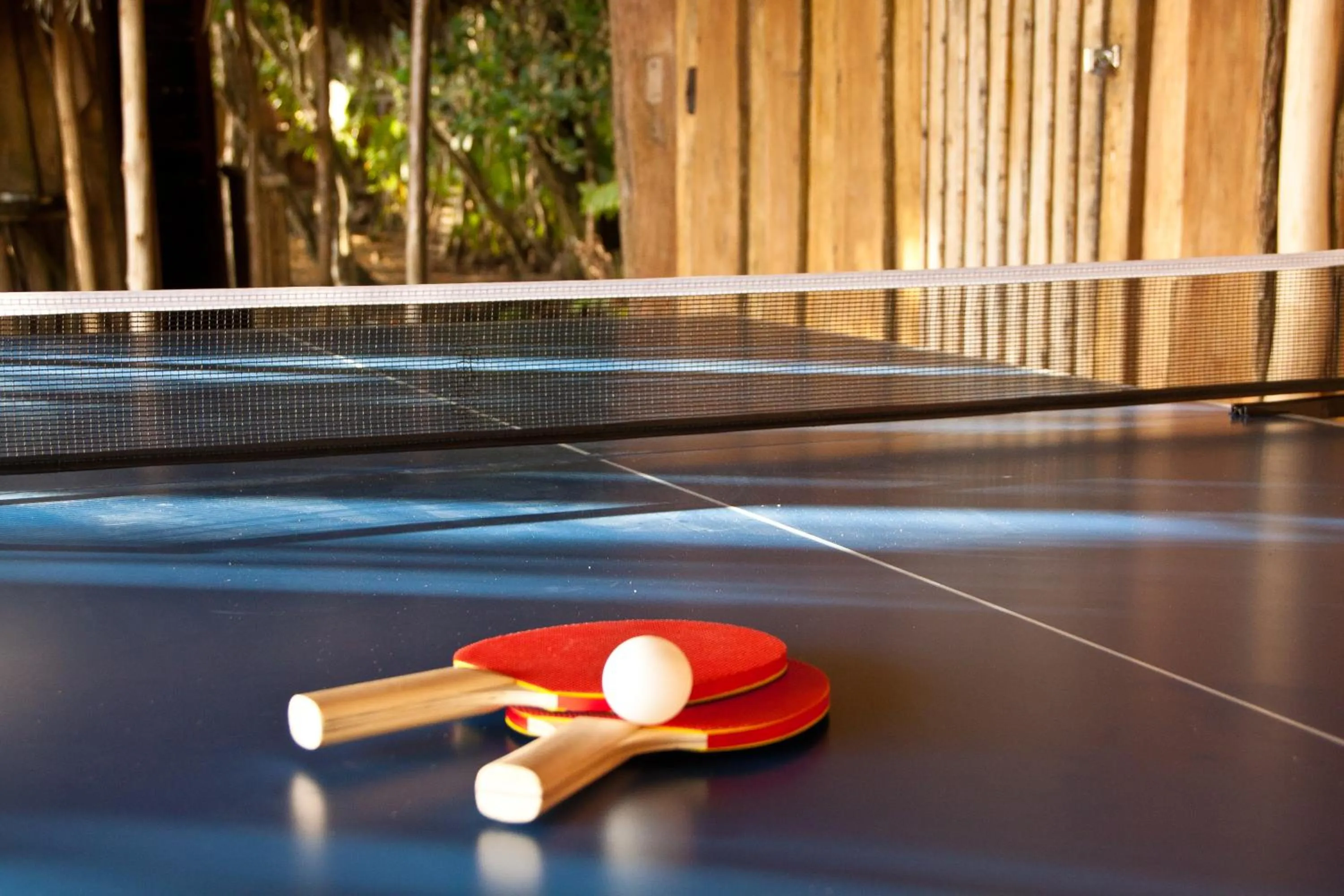 Table tennis in Al Natural Resort