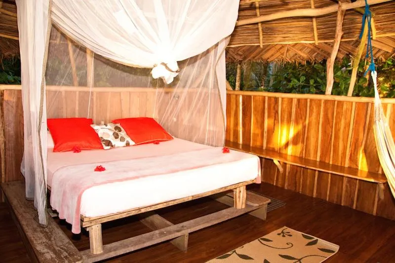 Photo of the whole room, Bed in Al Natural Resort