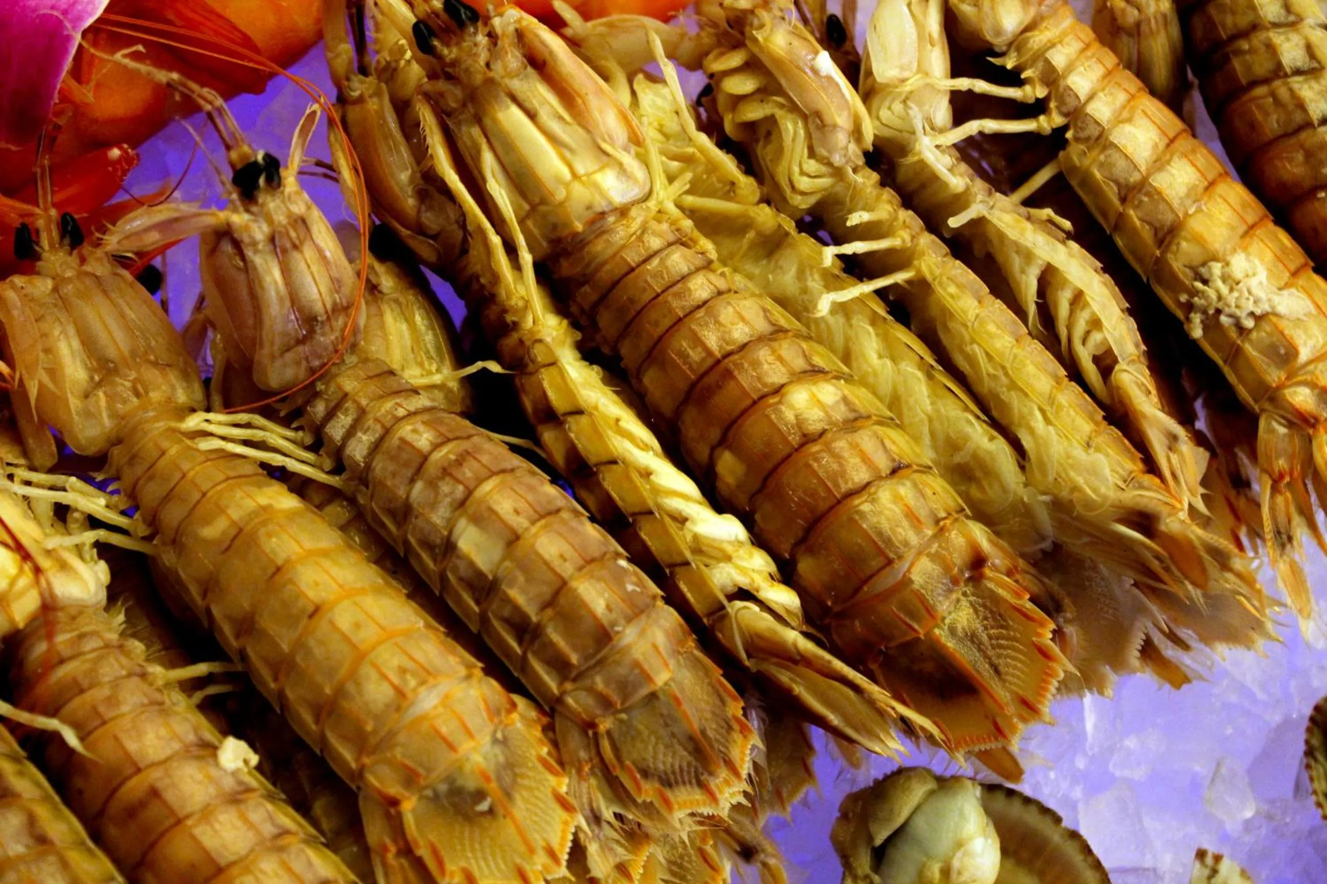 Dinner in Melia Jinan