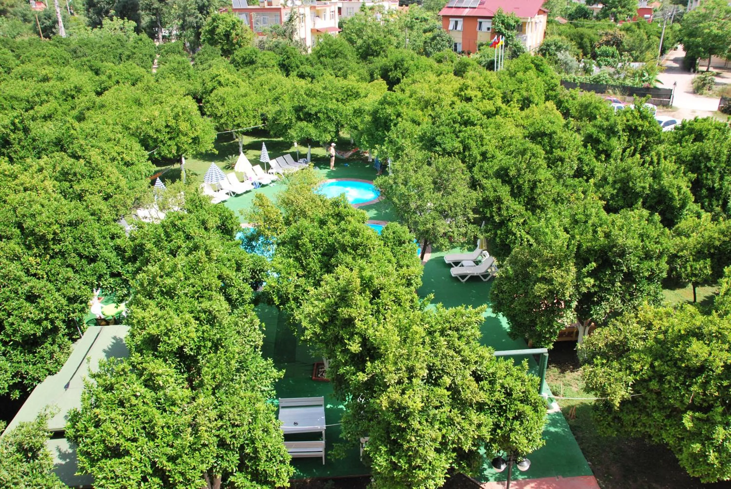 Natural landscape in CASTLE PARK HOTEL