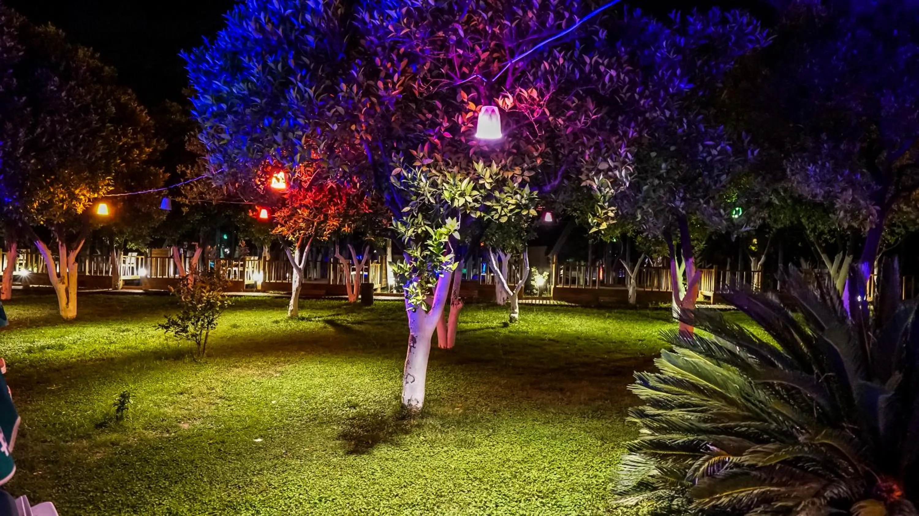 Night in CASTLE PARK HOTEL