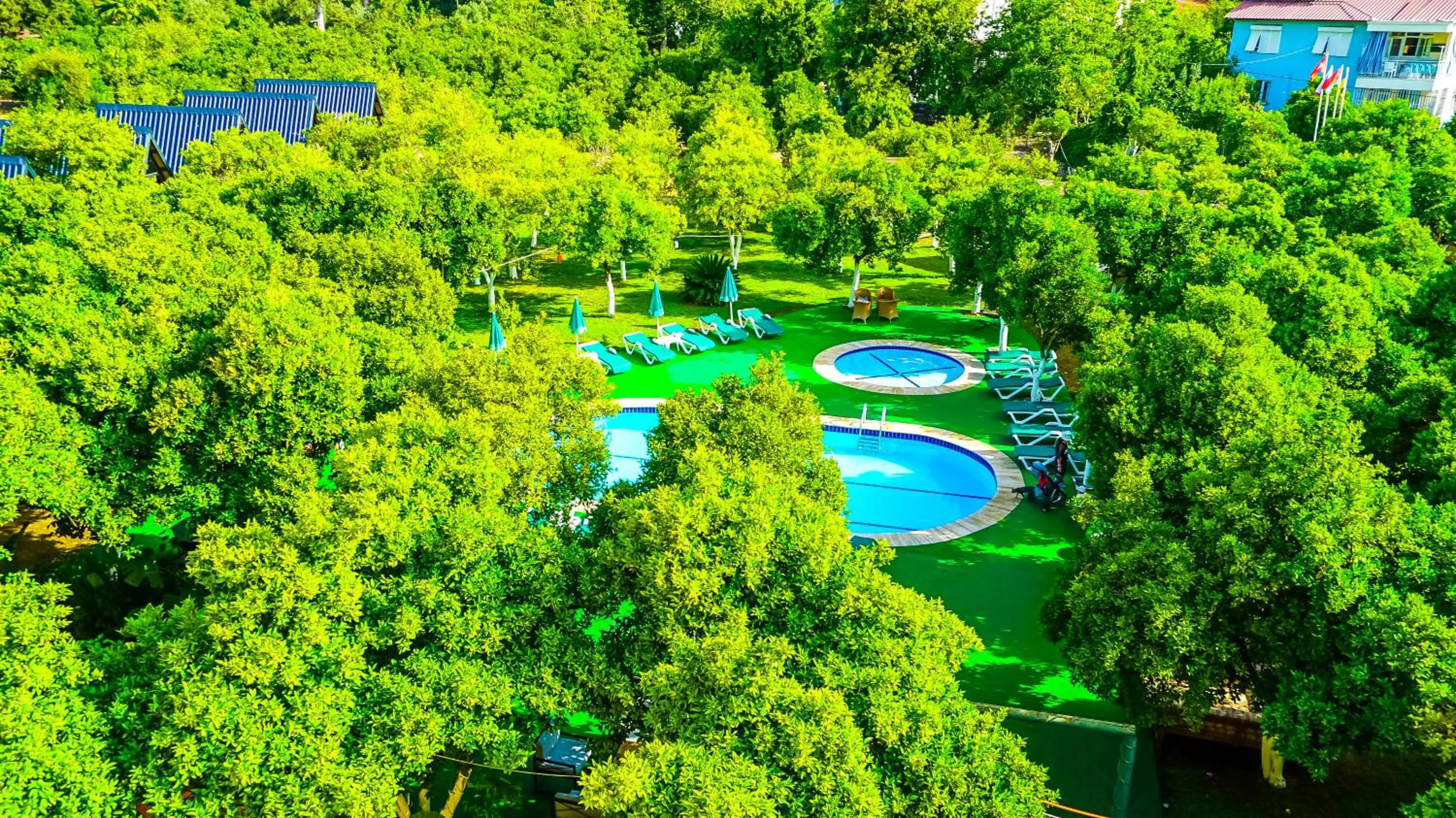 Garden in CASTLE PARK HOTEL