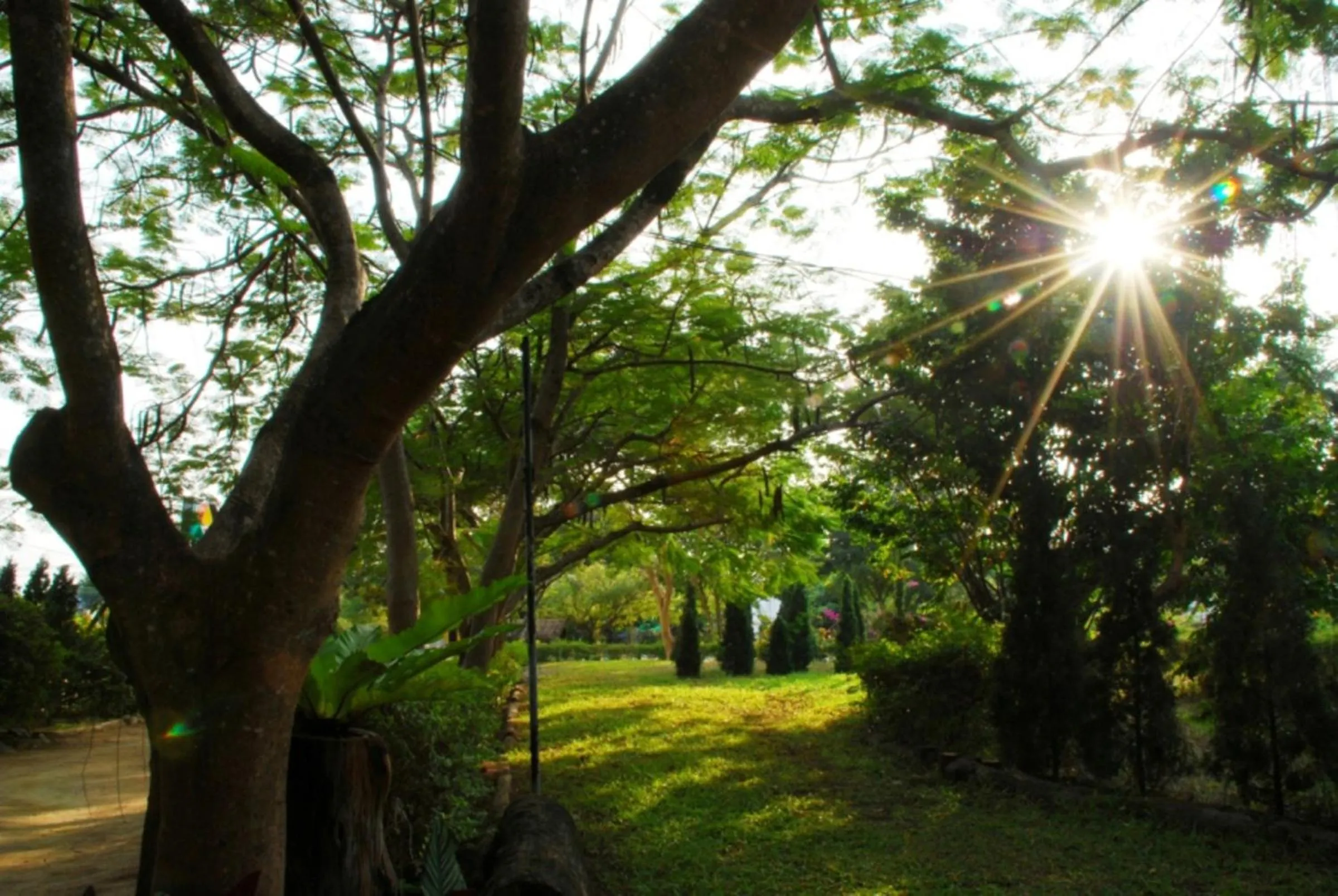 Garden in Khum Khun Wang Resort