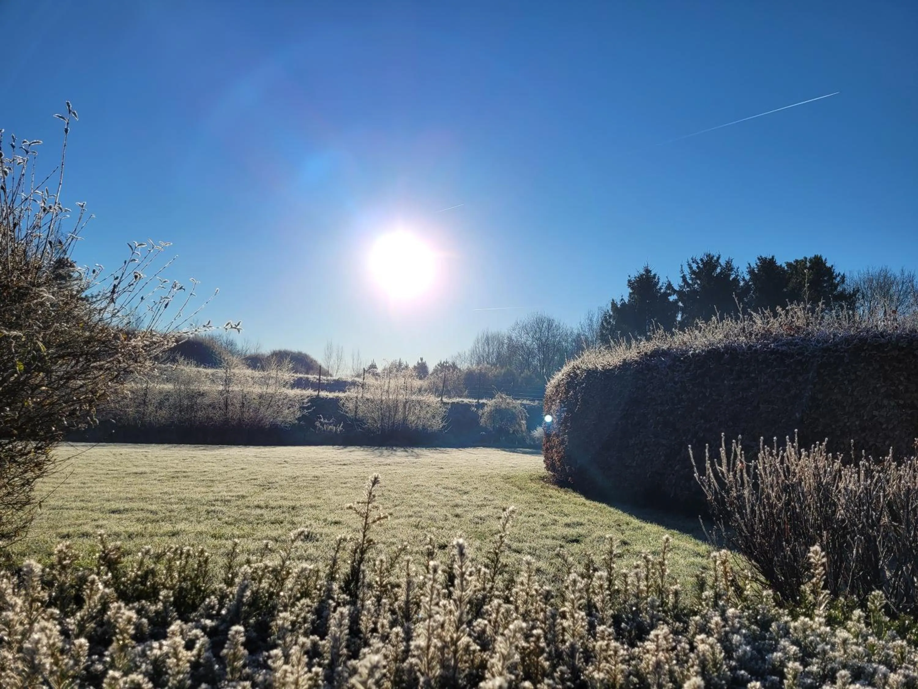 Garden in Parkhoeve Glamping