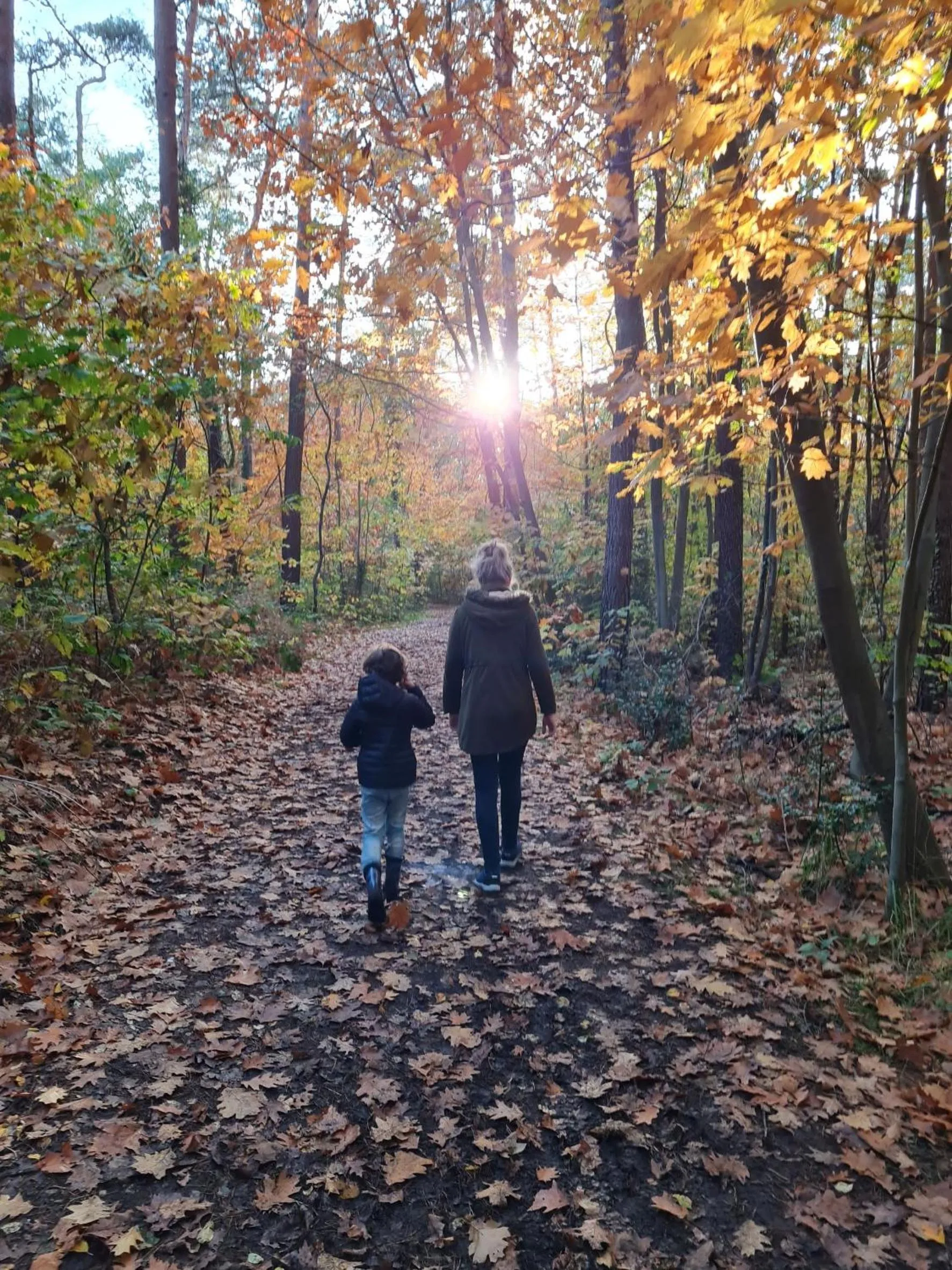 Natural landscape in Parkhoeve Glamping