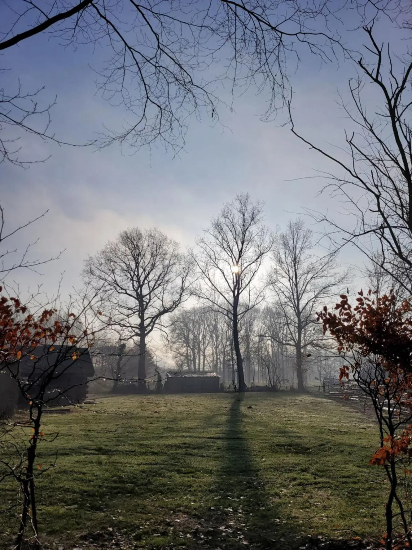 Garden in Parkhoeve Glamping