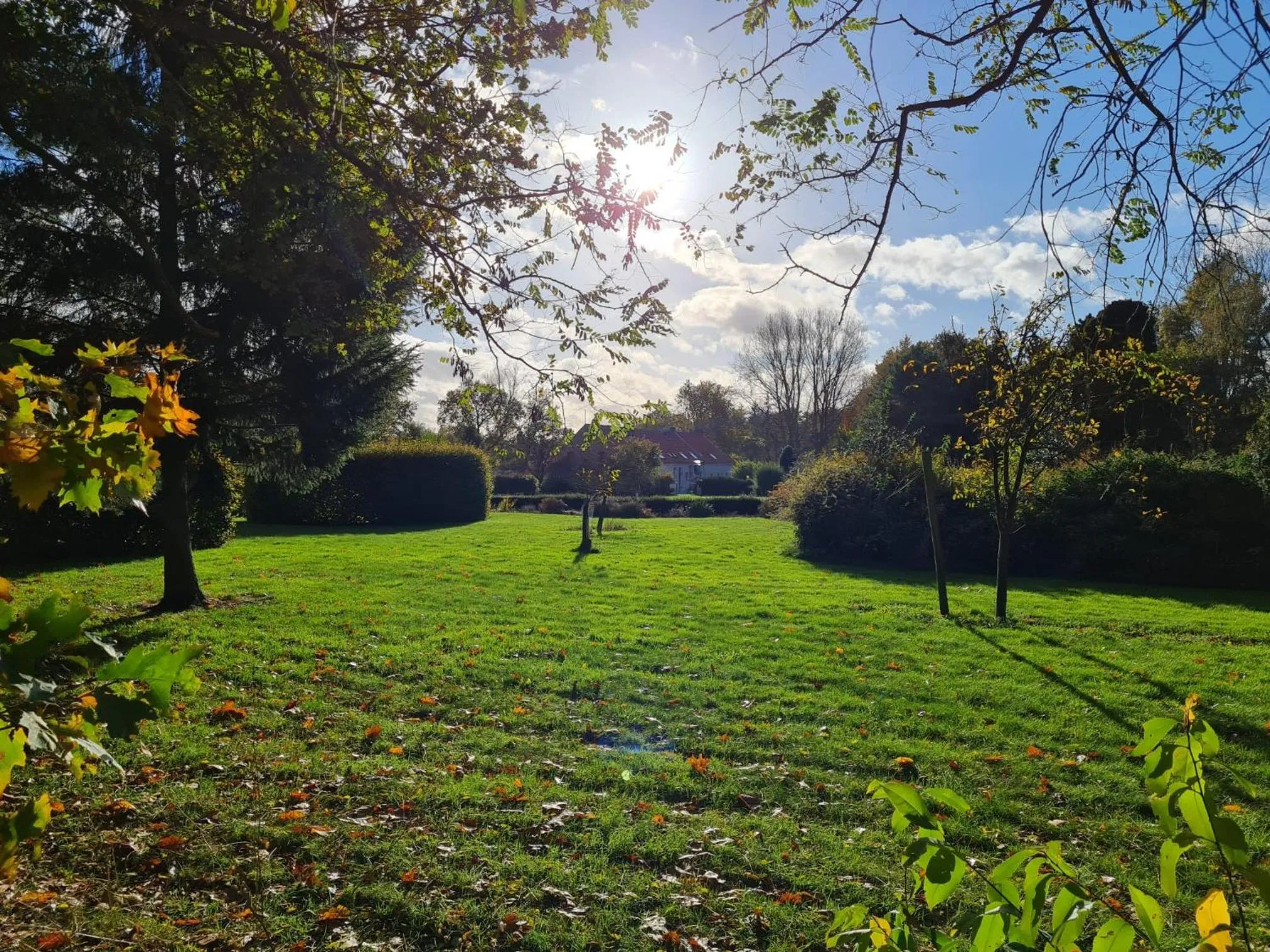 Garden in Parkhoeve Glamping