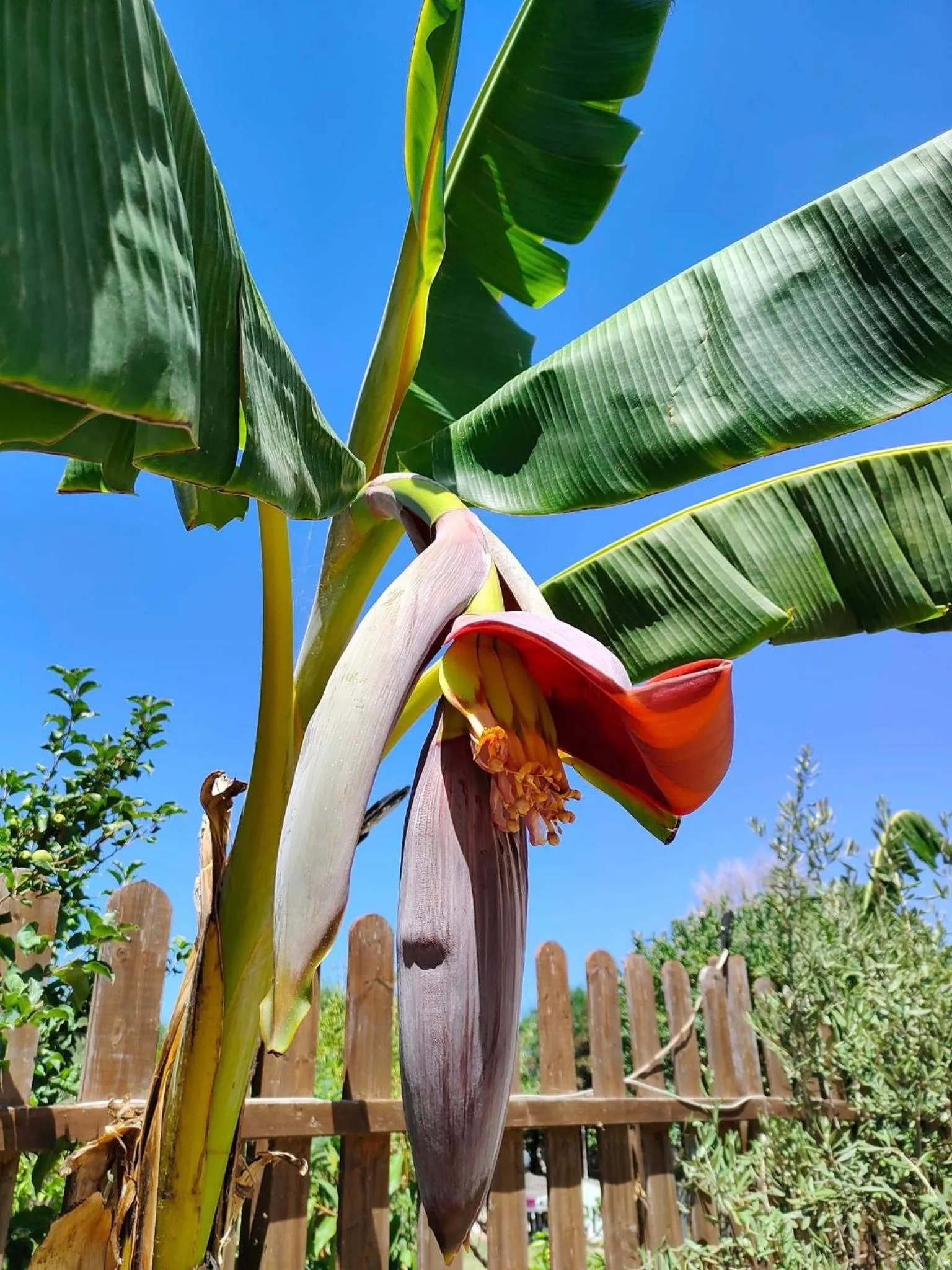 Garden in B&B da Donatella