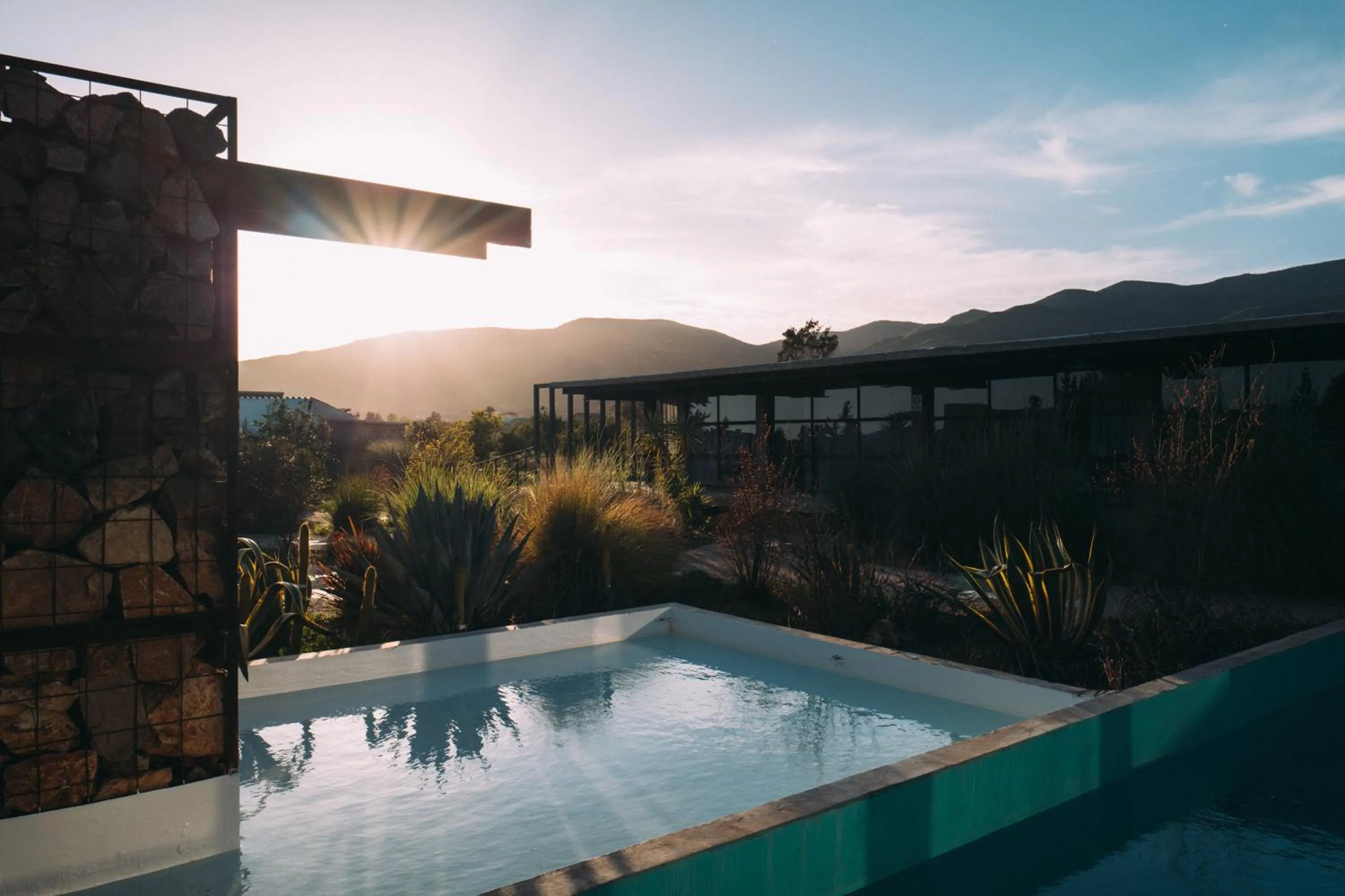 Garden view in Hotel Los Amantes Valle de Guadalupe