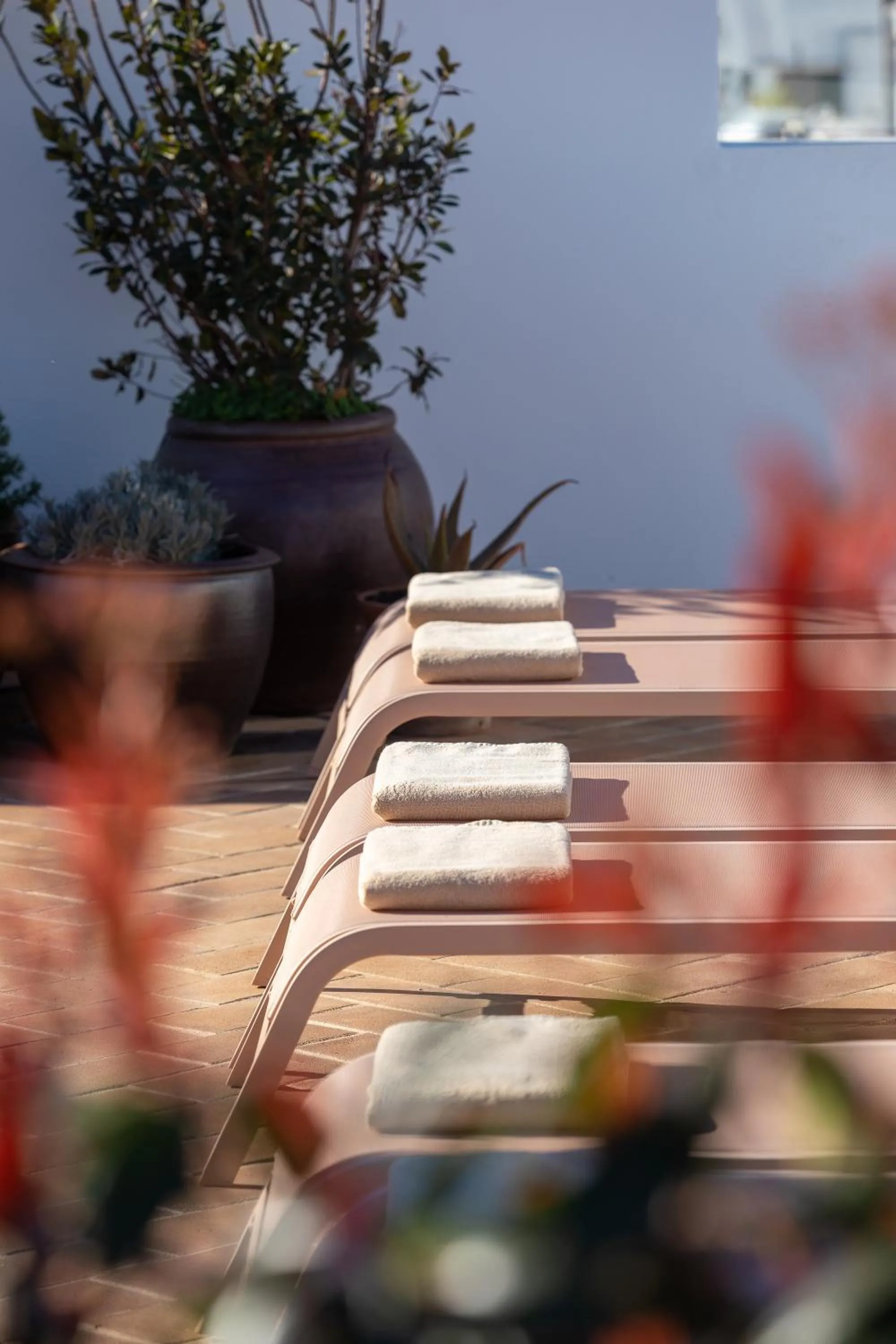 Day in Casa do Gadanha