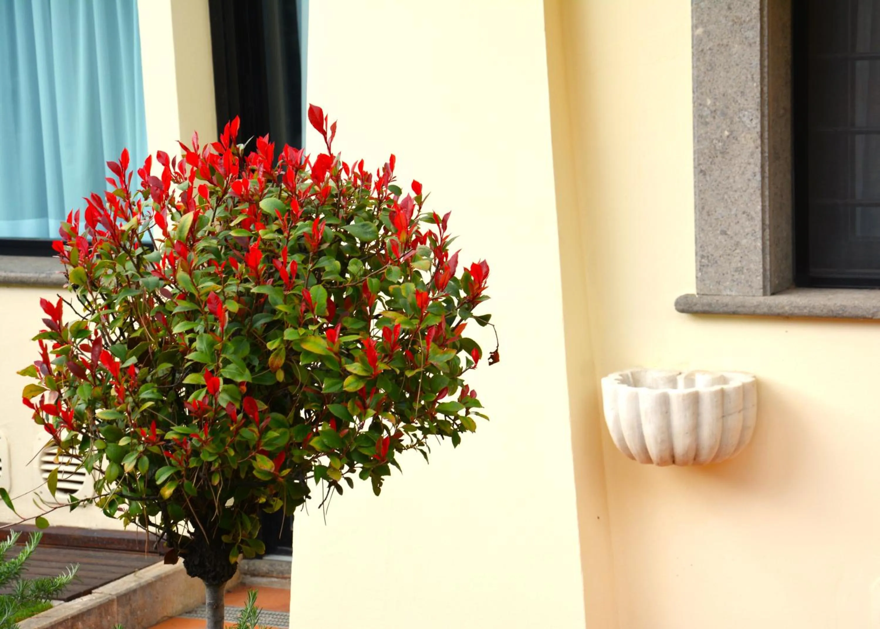 Day in Gemelli Hotel