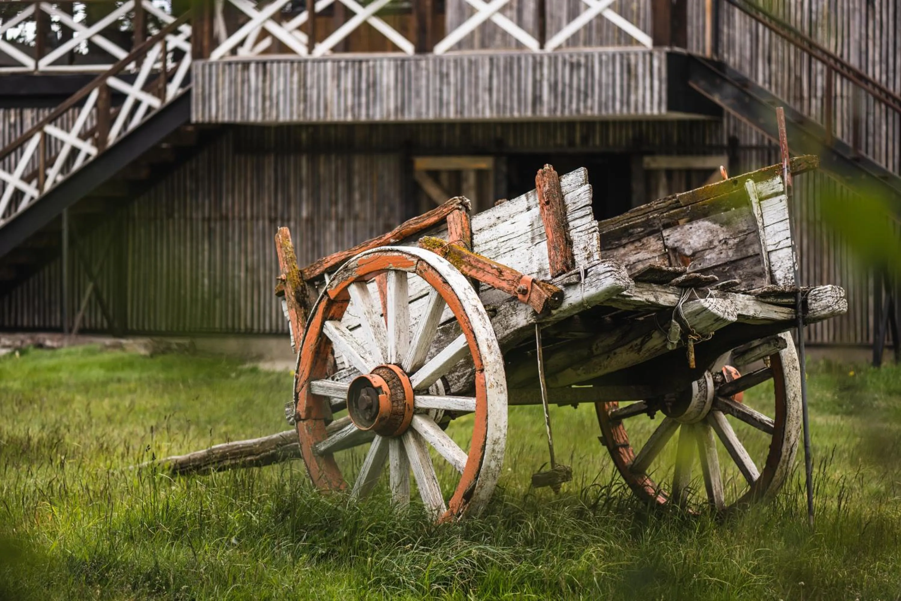 Garden in Hotel Hacienda Dorotea