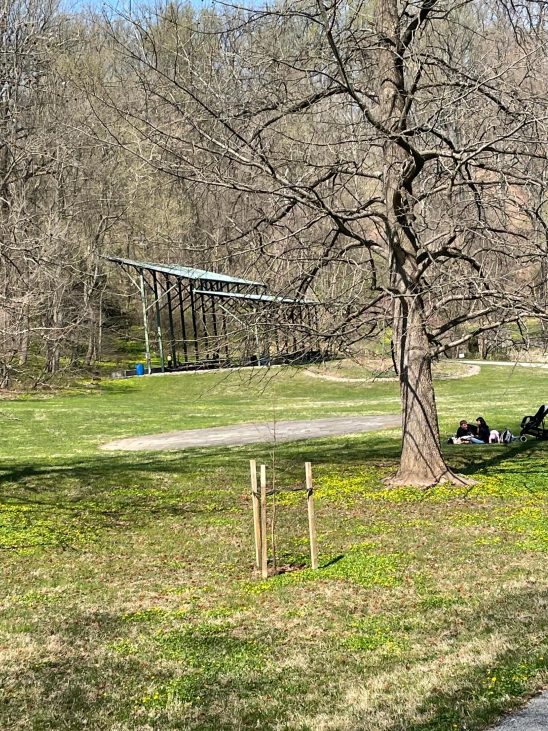 Executive Apartment at Uplands