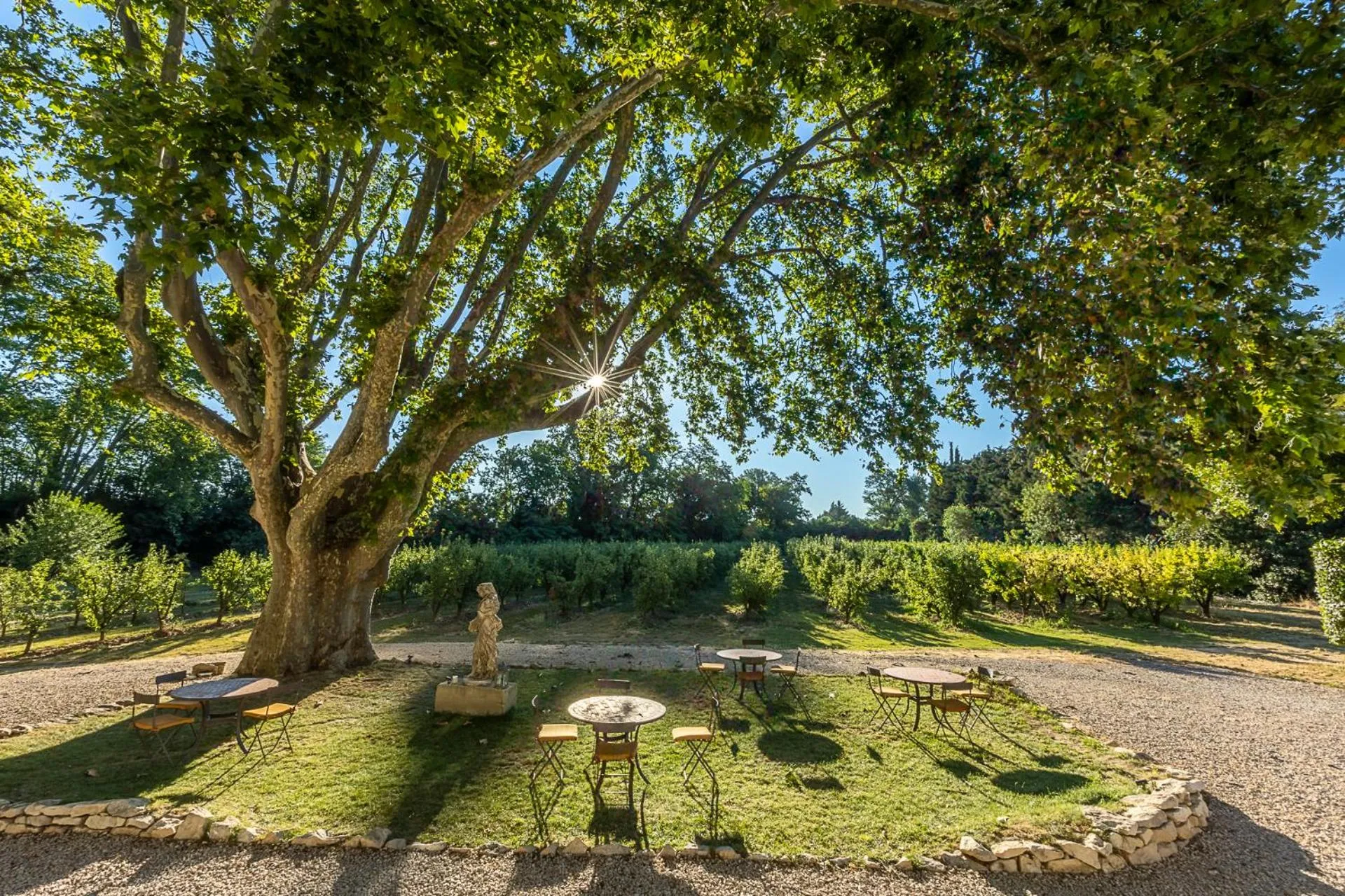 Garden view in Mas de Capelou