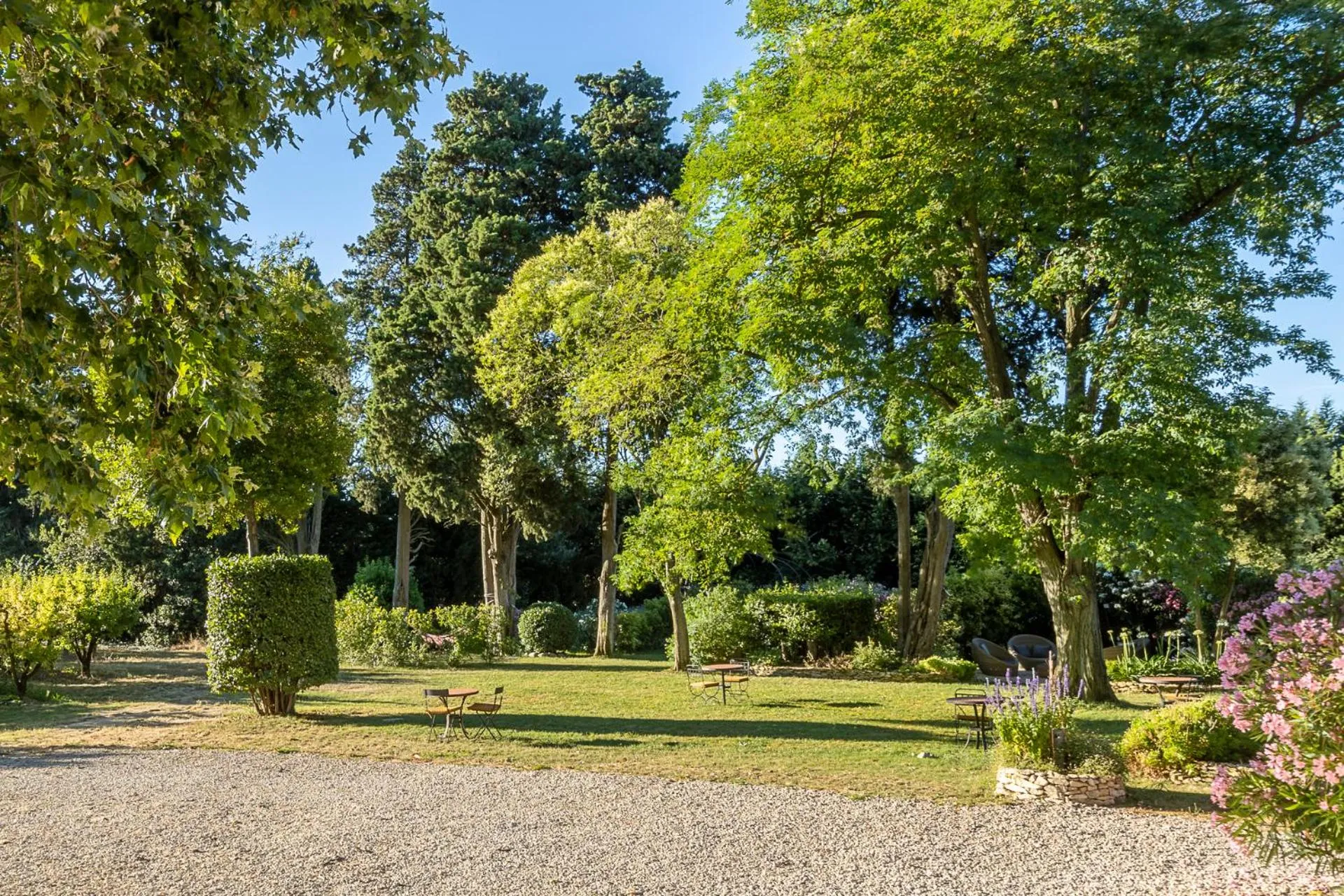 Garden in Mas de Capelou