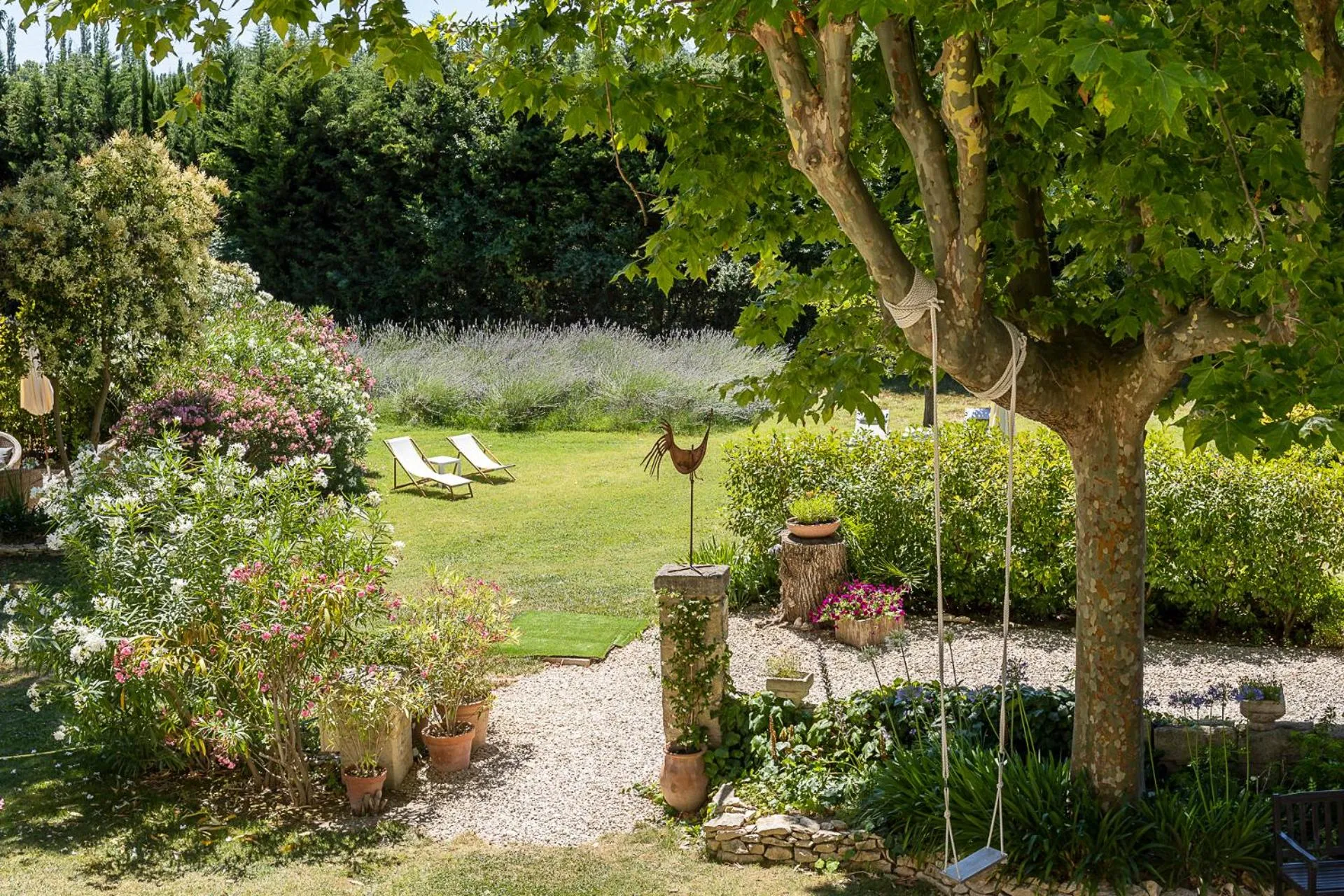 Garden in Mas de Capelou
