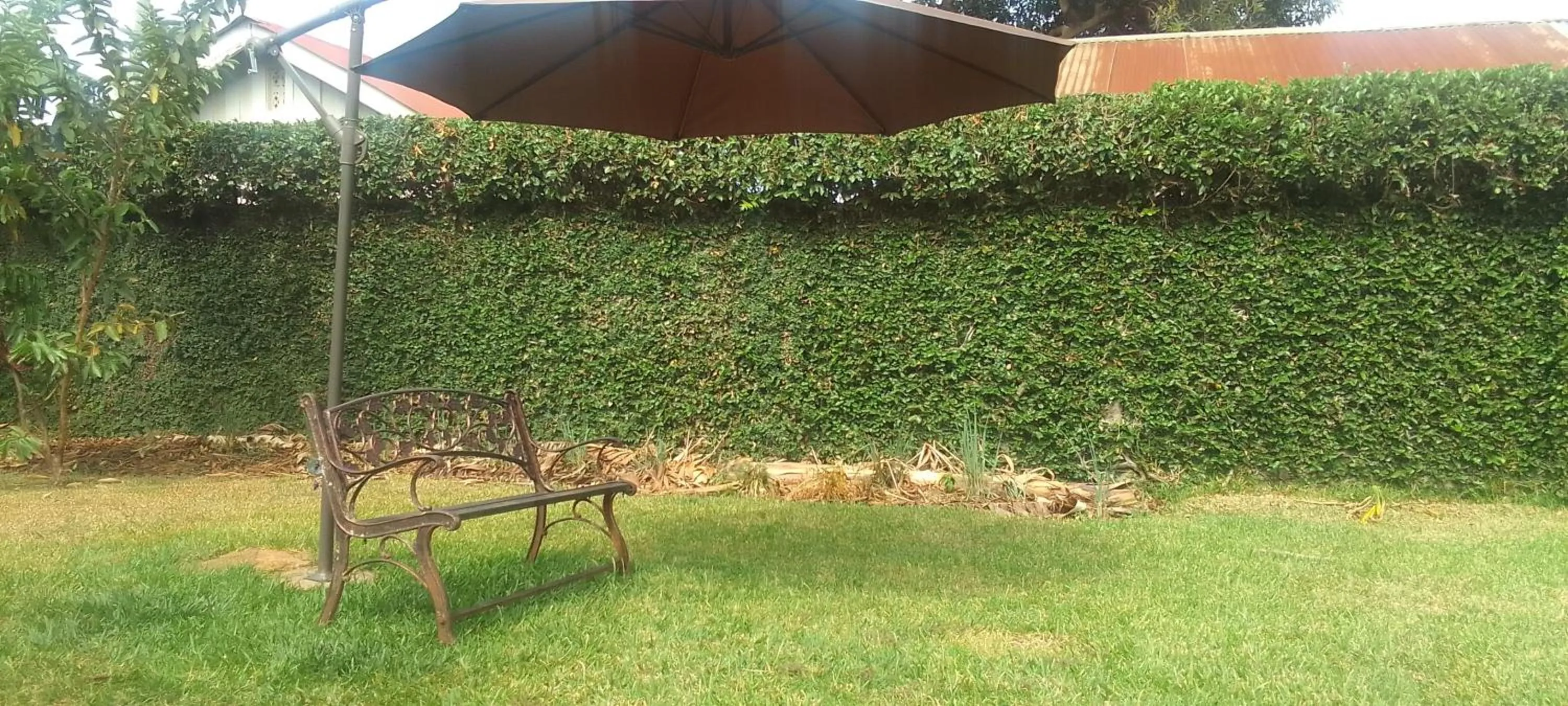 Natural landscape in Dream jet suites