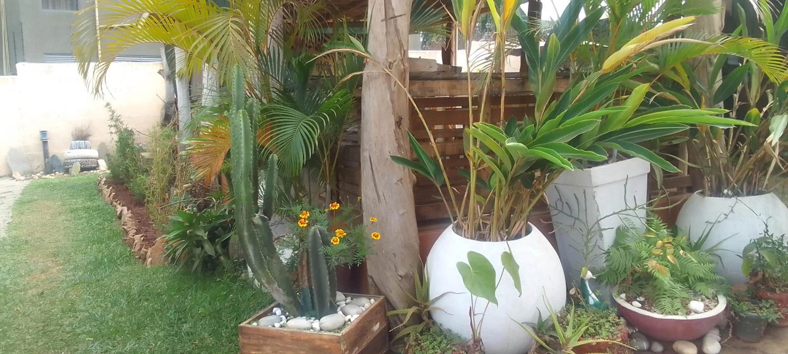 Garden view in Dream jet suites