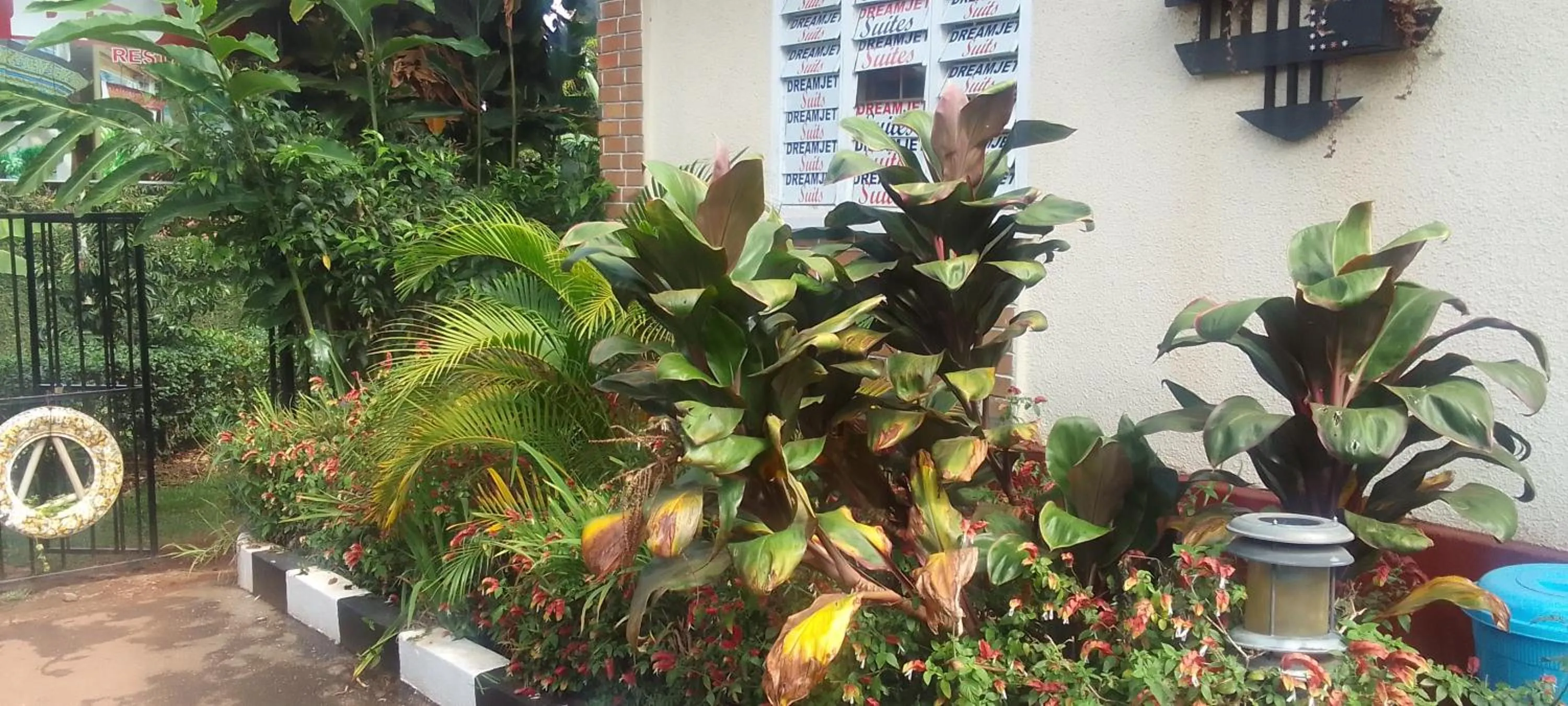 Garden in Dream jet suites