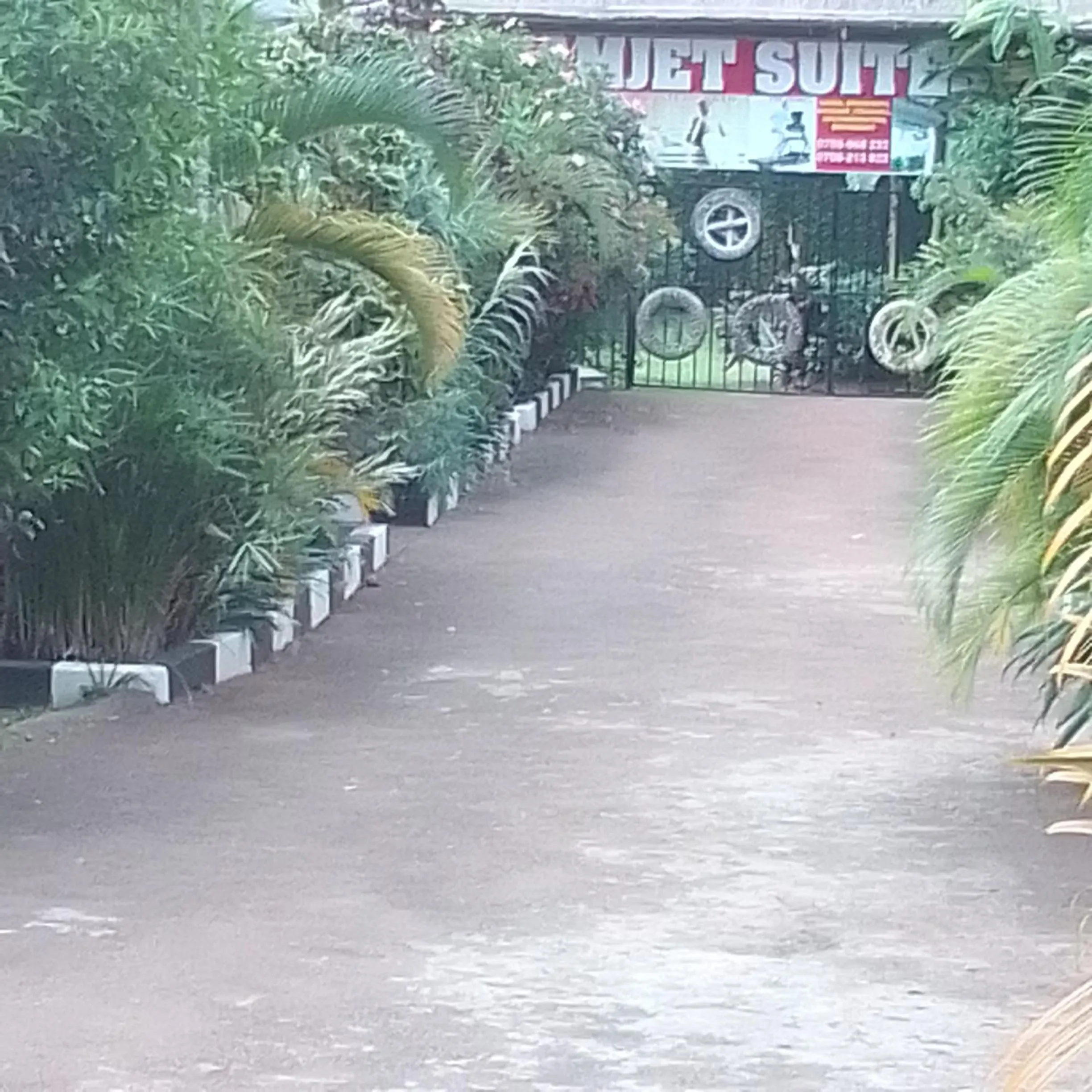 Garden view in Dream jet suites