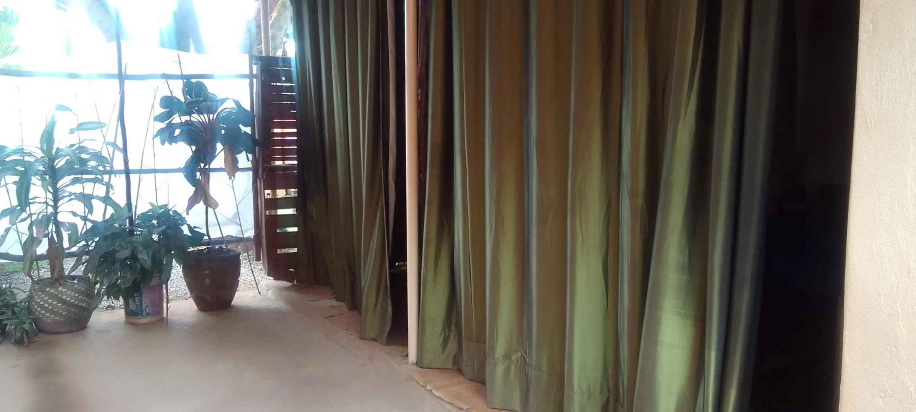 Massage in Dream jet suites