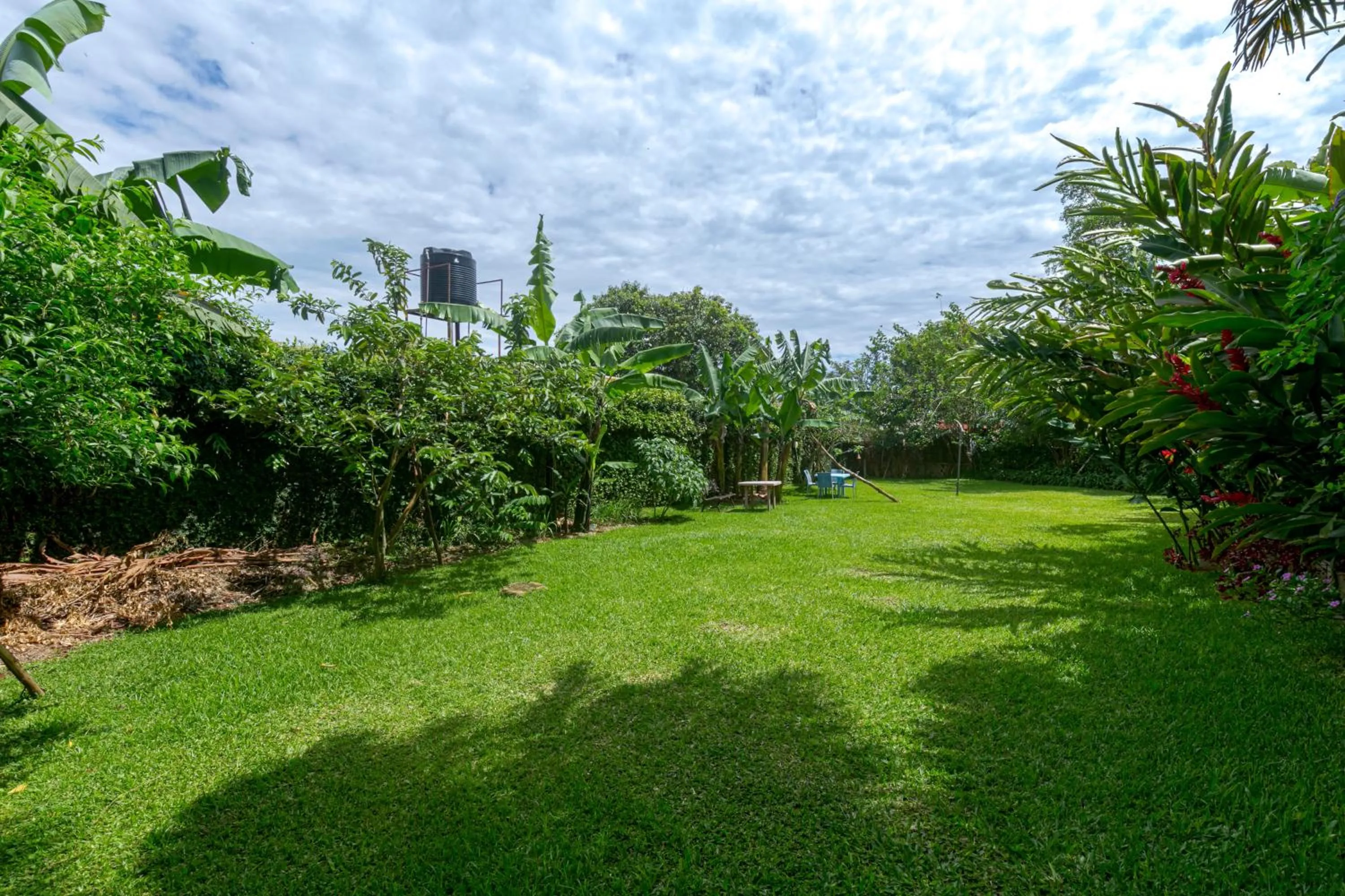 Garden view in Dream jet suites