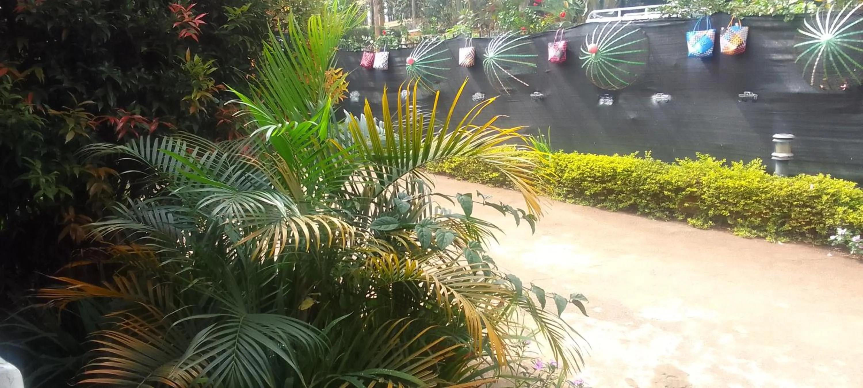 Garden in Dream jet suites