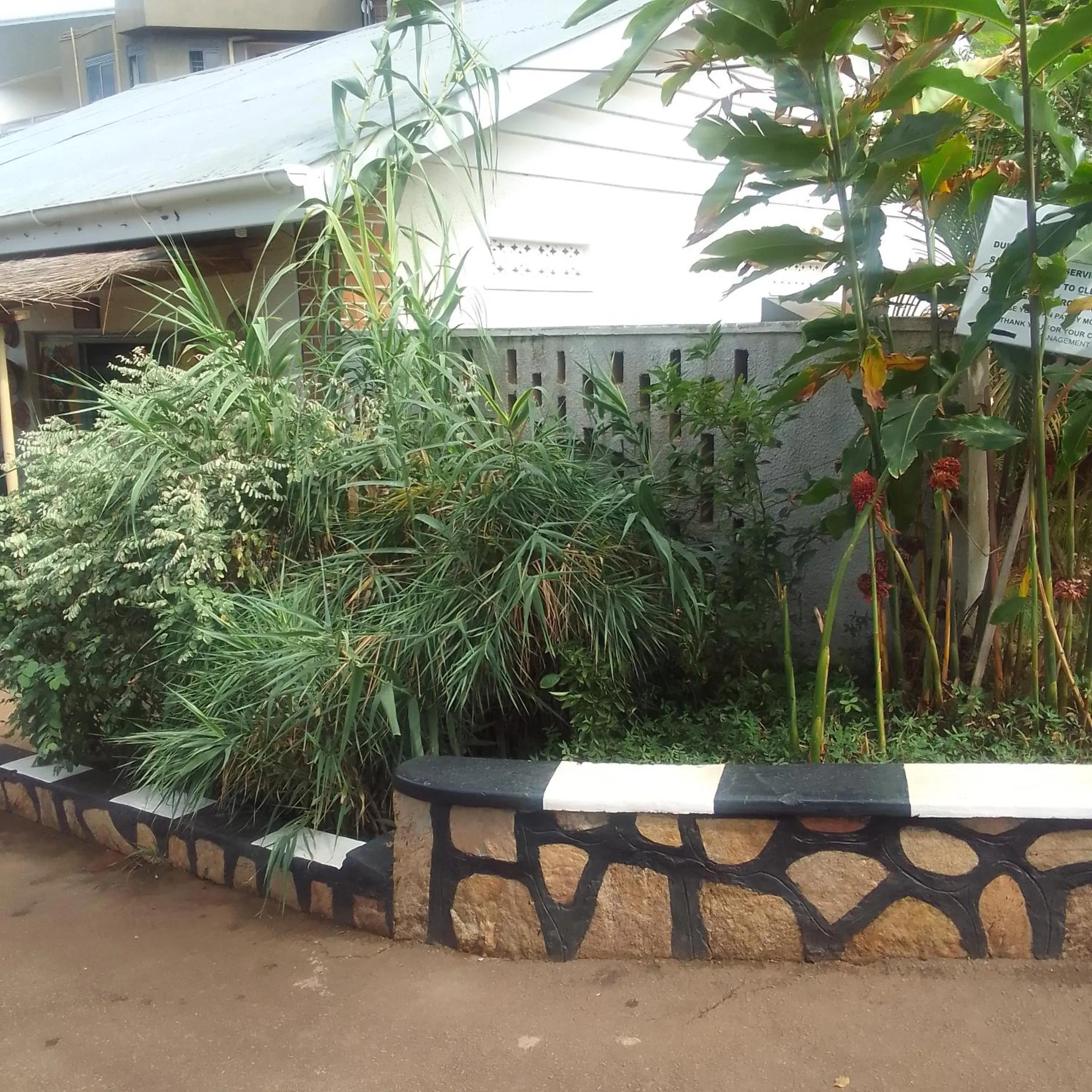 Garden in Dream jet suites