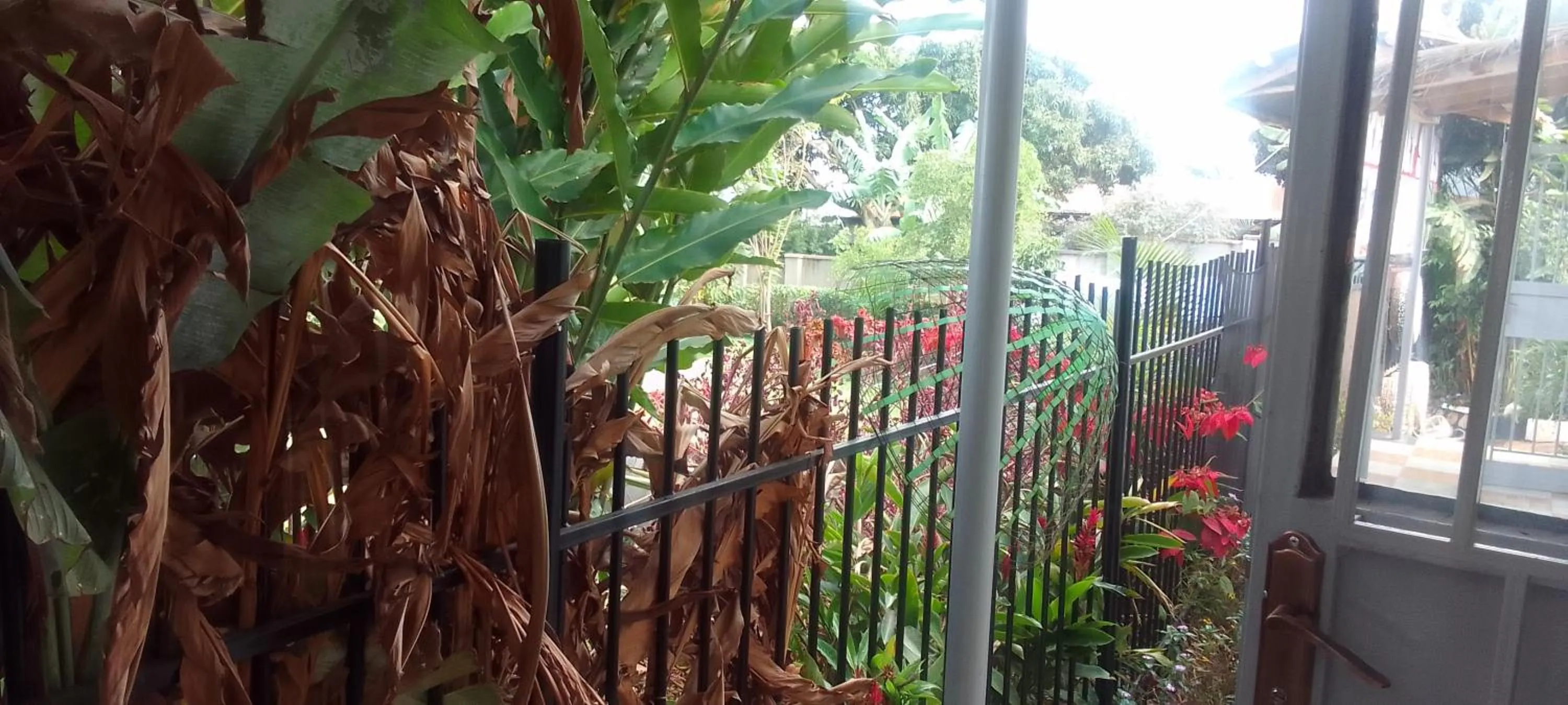 Balcony/Terrace in Dream jet suites