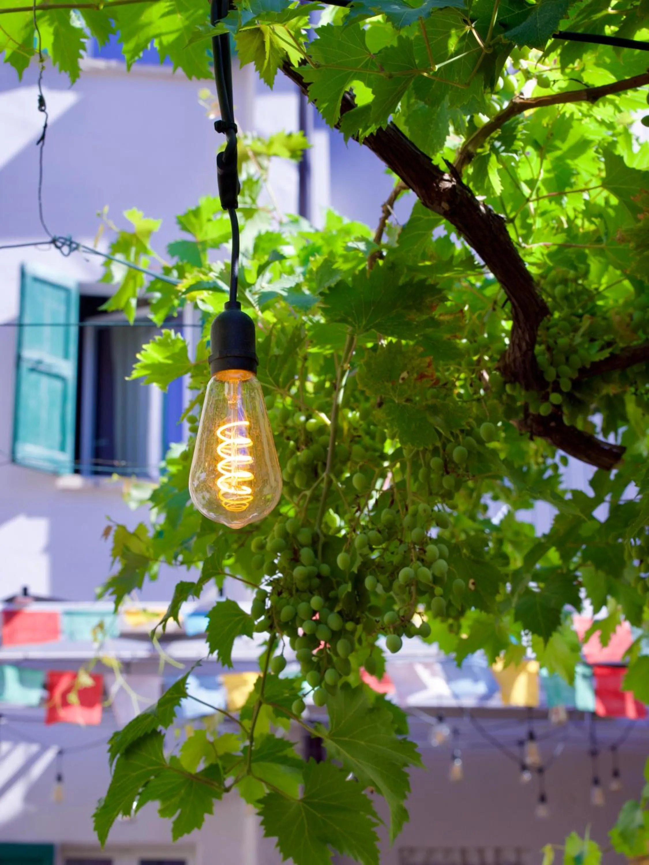 Garden in Casa Babbuino