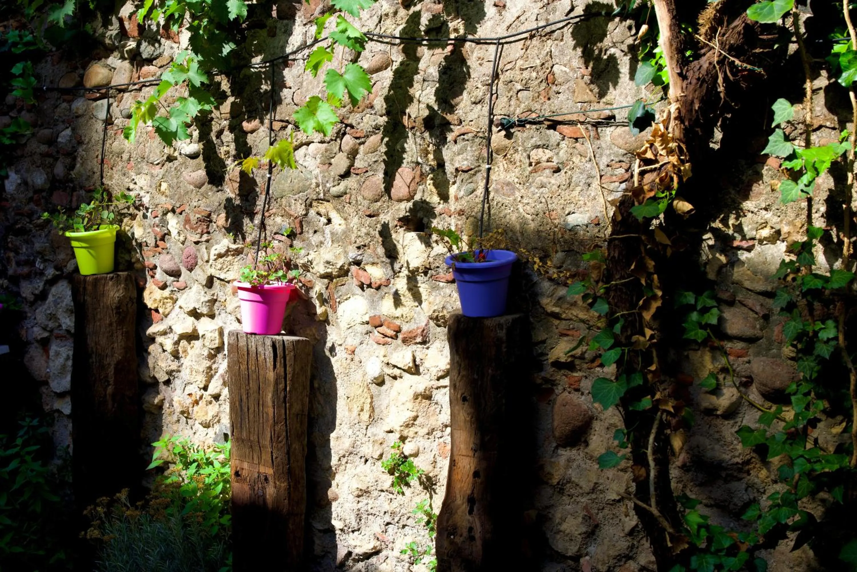 Garden in Casa Babbuino