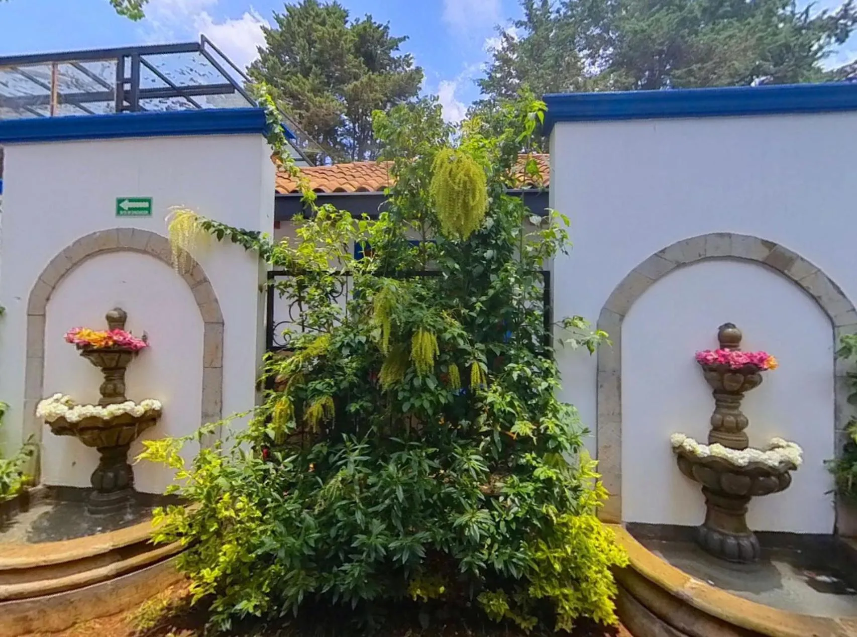 Garden in Hacienda Valentino
