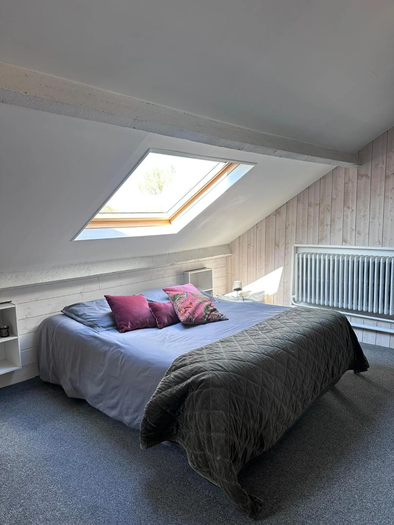 Bed in B&B 't zwart peird