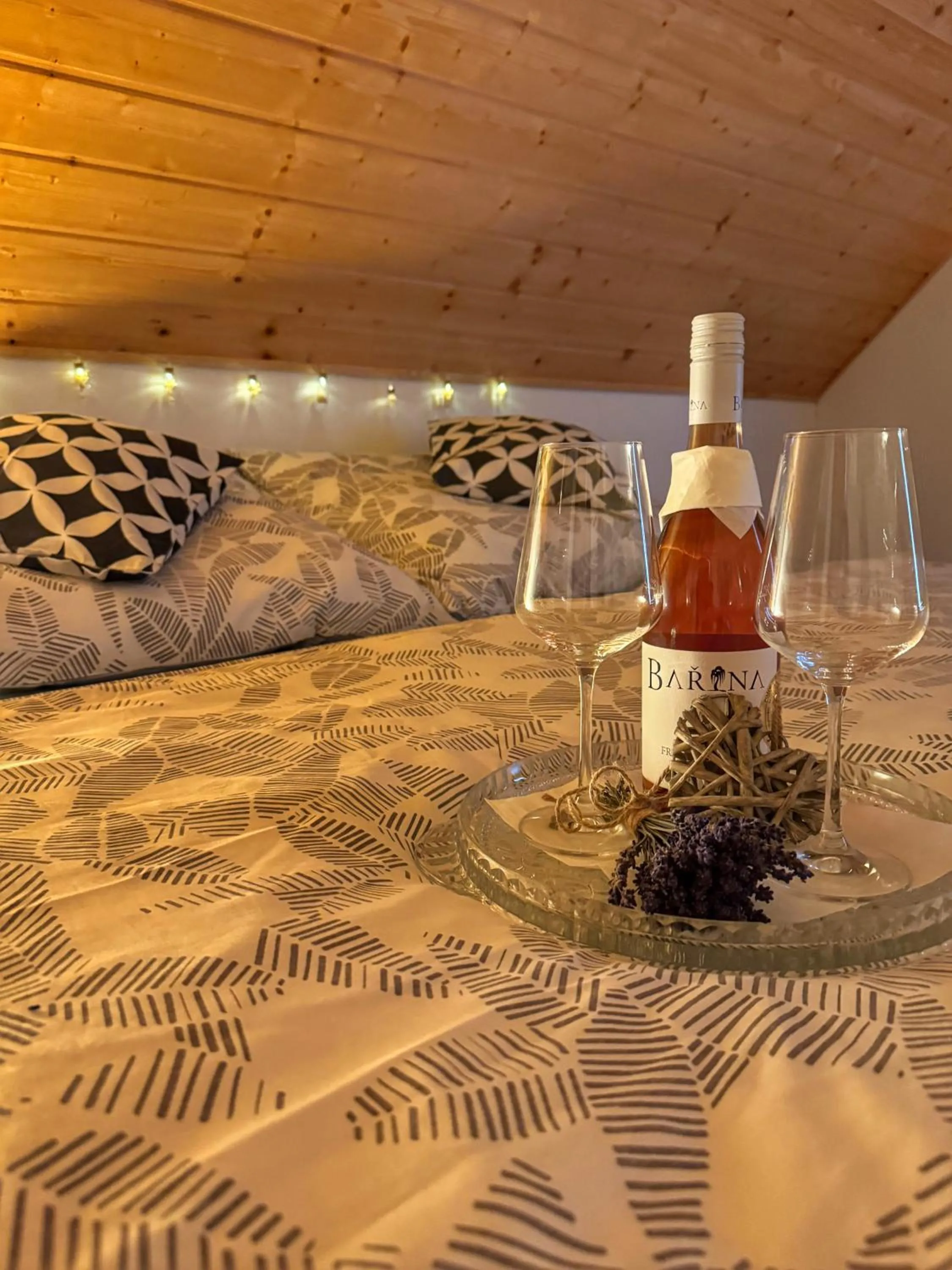 Apartmán u Ještěrky s finskou saunou v ceně