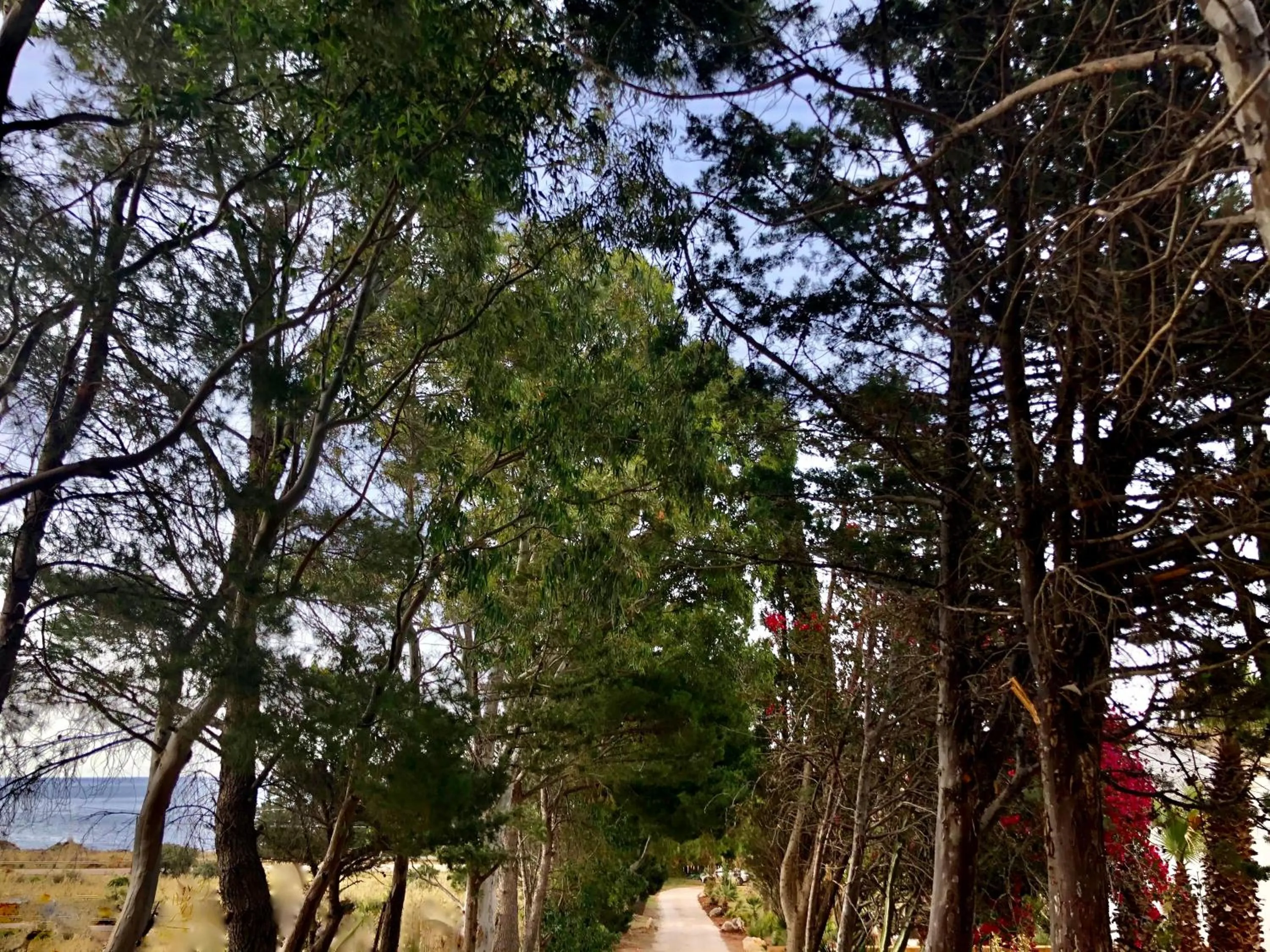 Natural landscape in Araja Villa&Suite by Geocharme